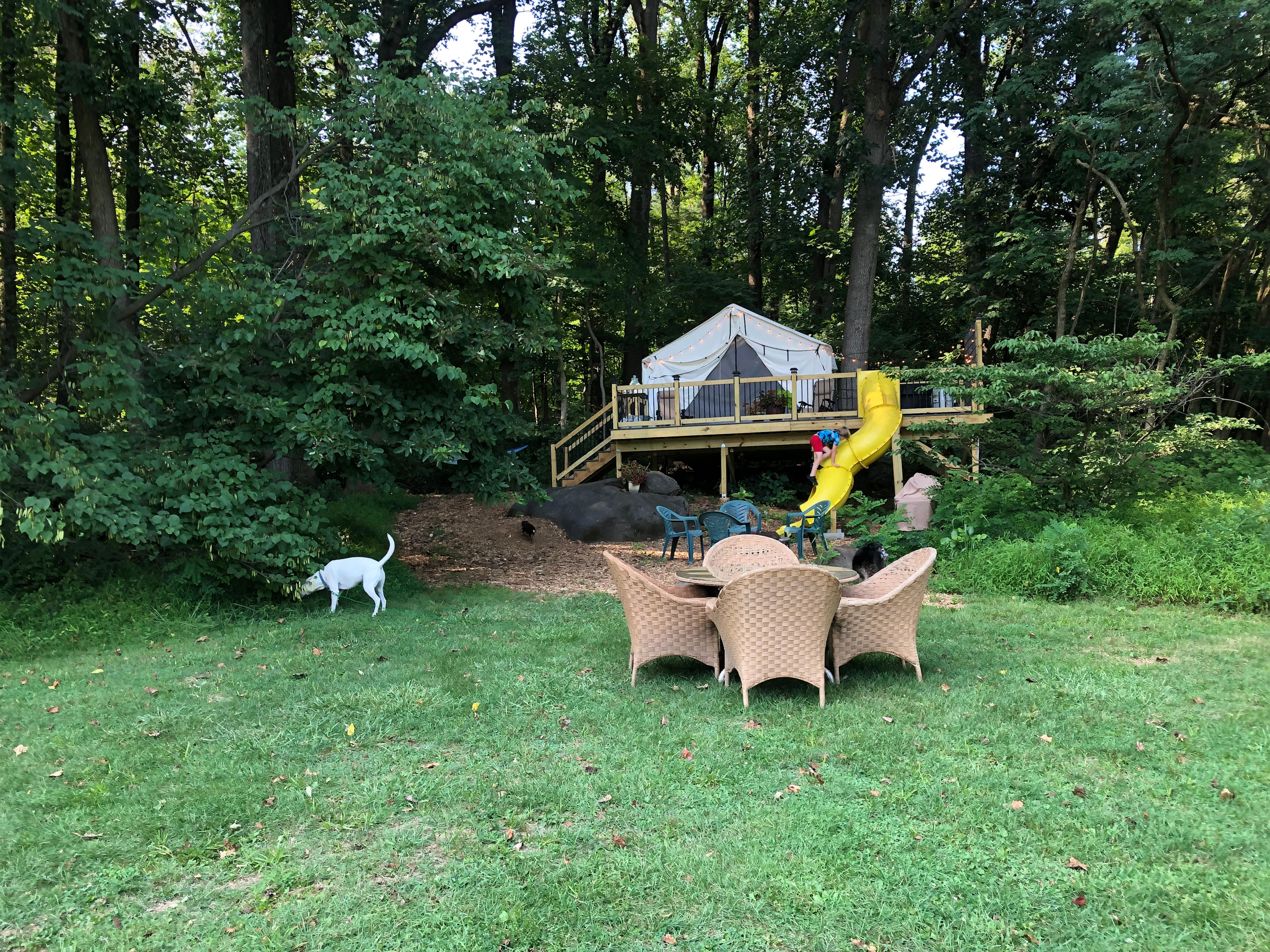 Magical Treehouse with Hot Tub & Slide