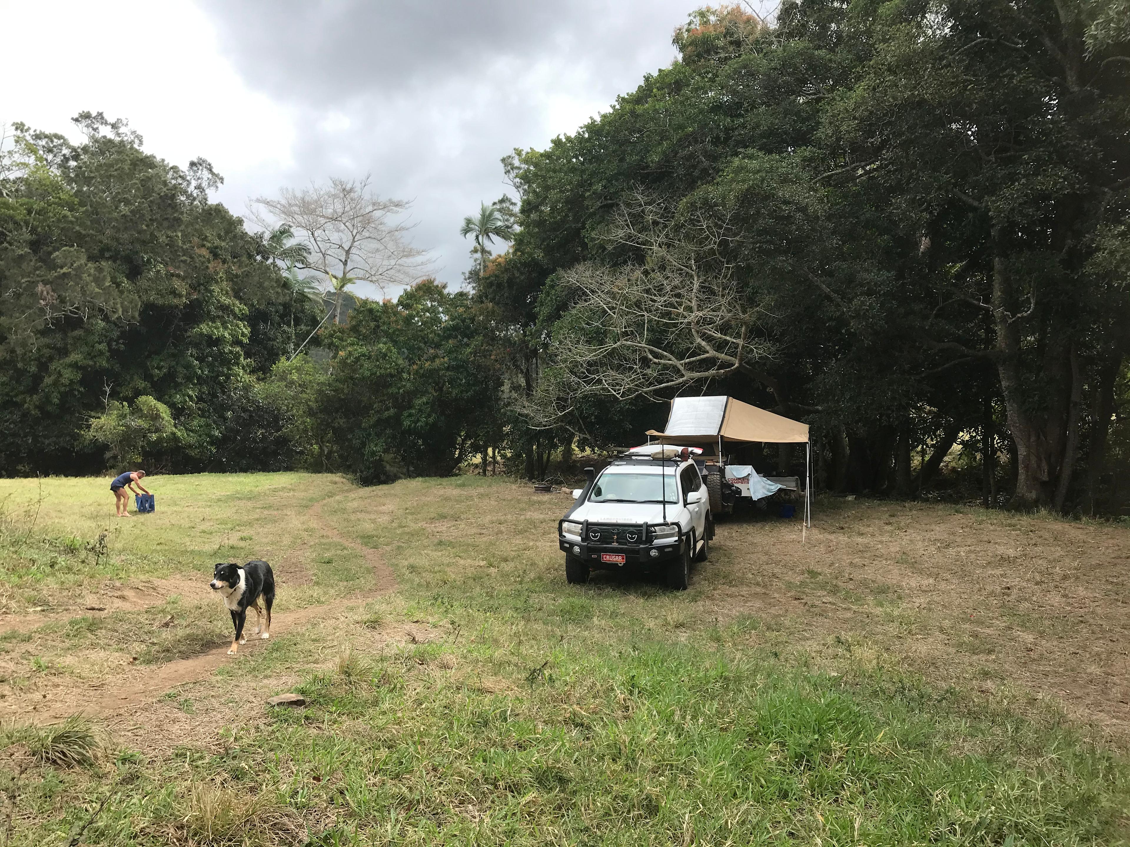 Cattle Camp, Sarina, QLD