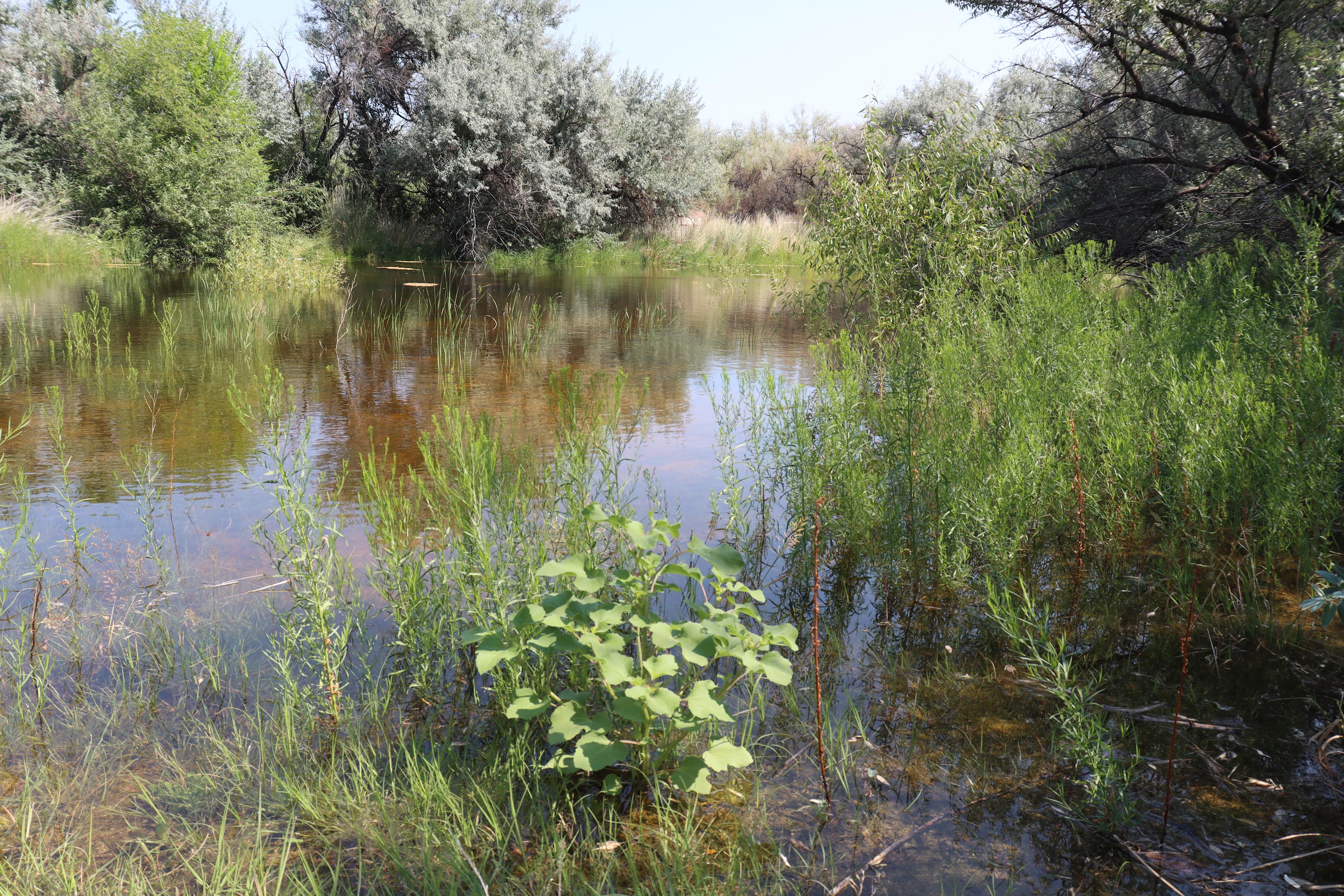 A pond On6Acres