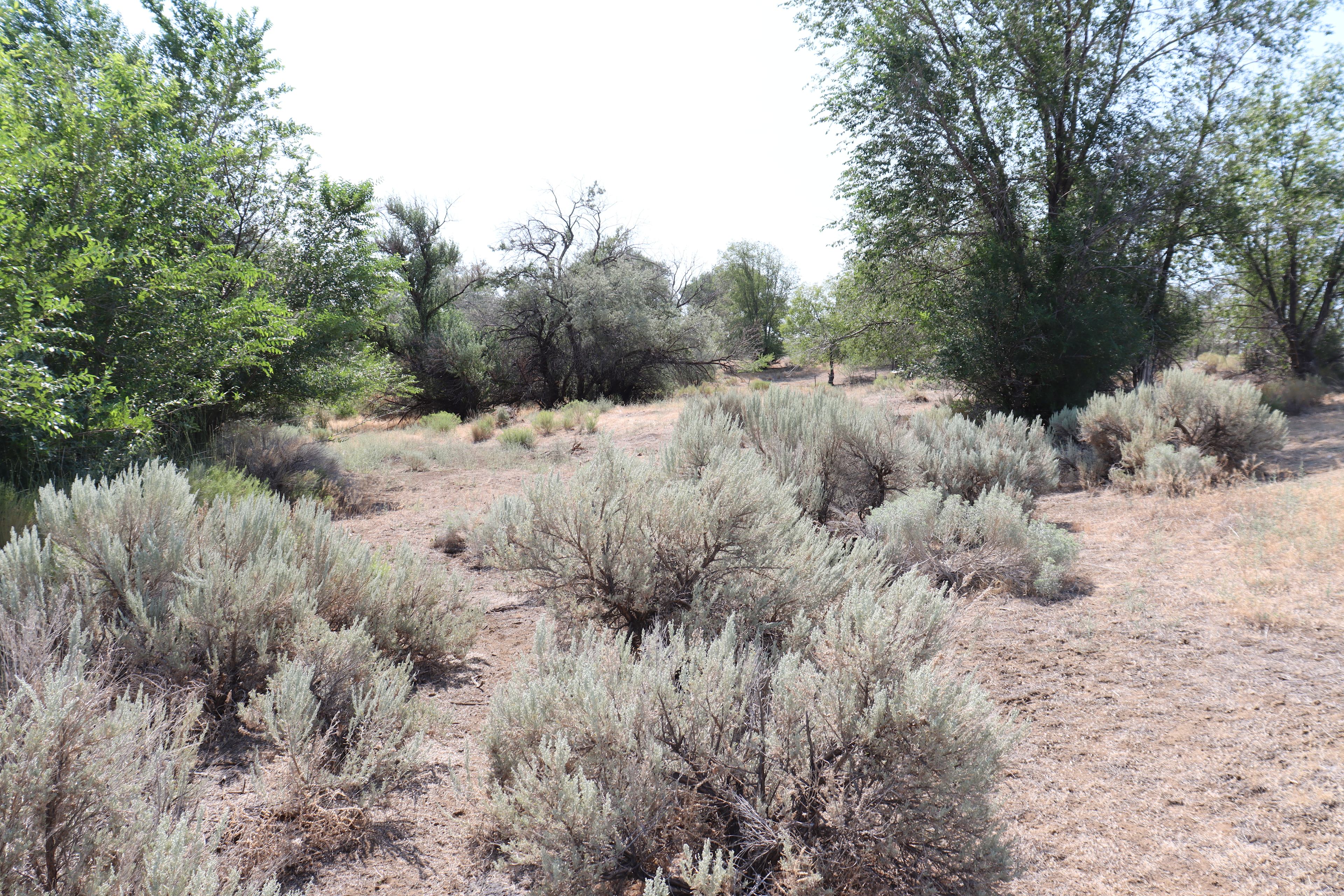 A place On6Acres