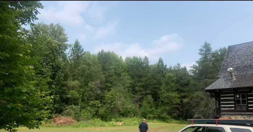 Imrans 5 Acres of Nature