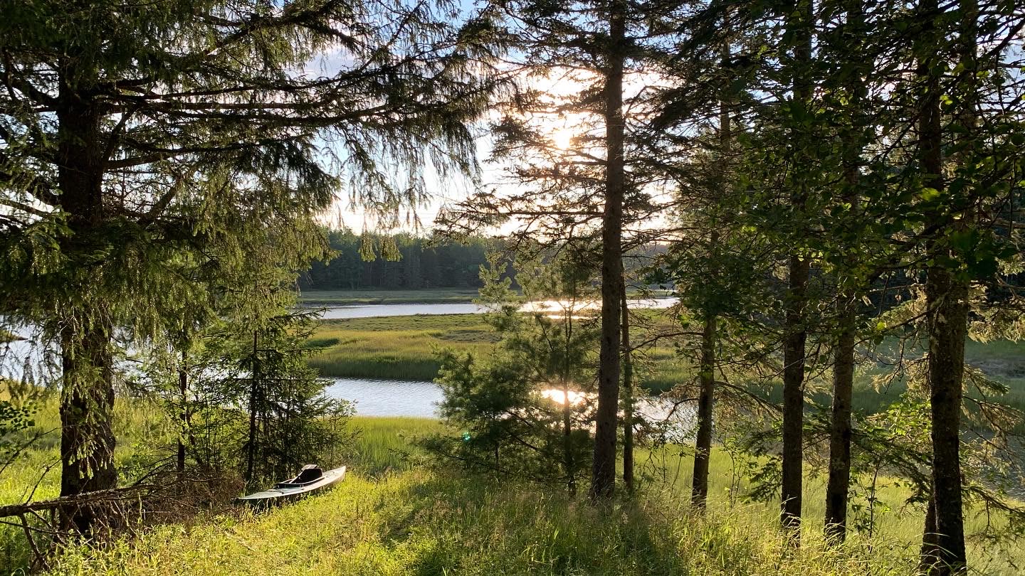 View from the cabin 
