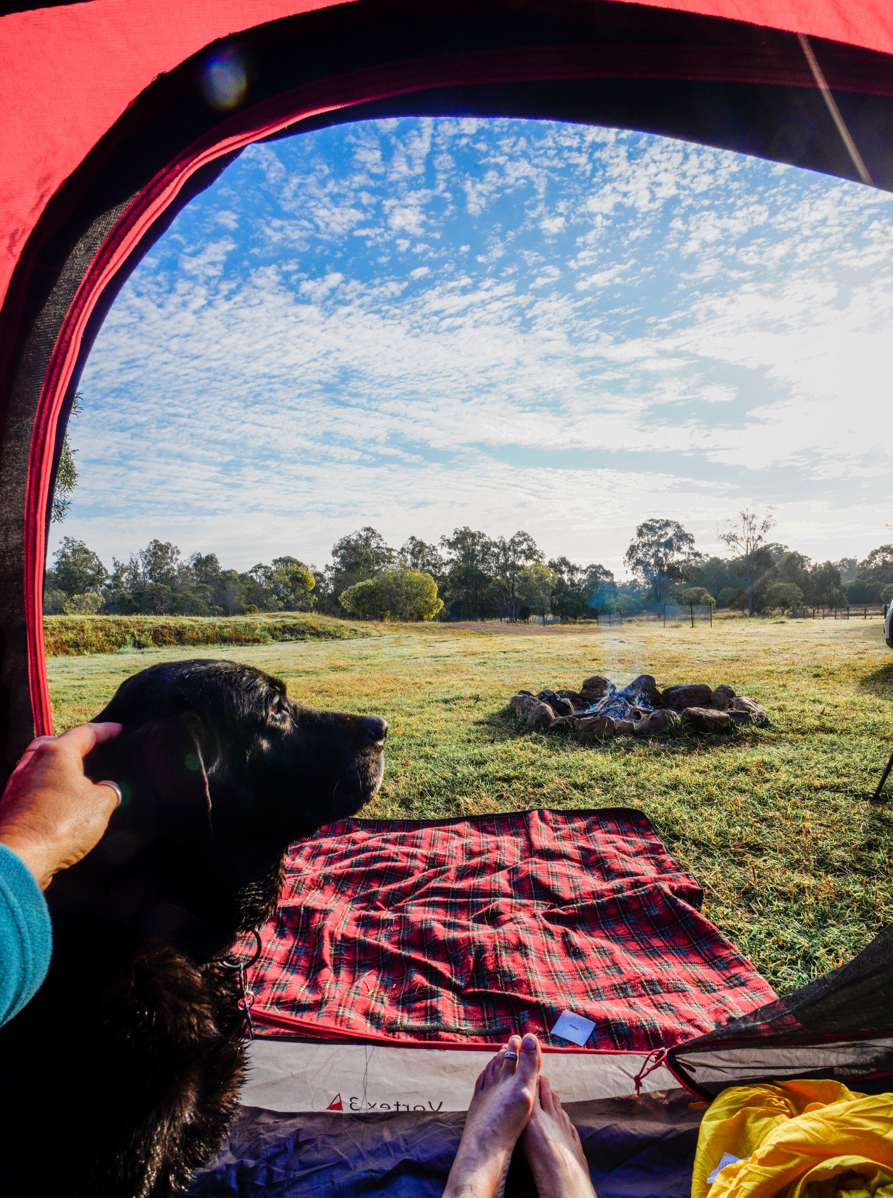 morning views from my tent with my best mate