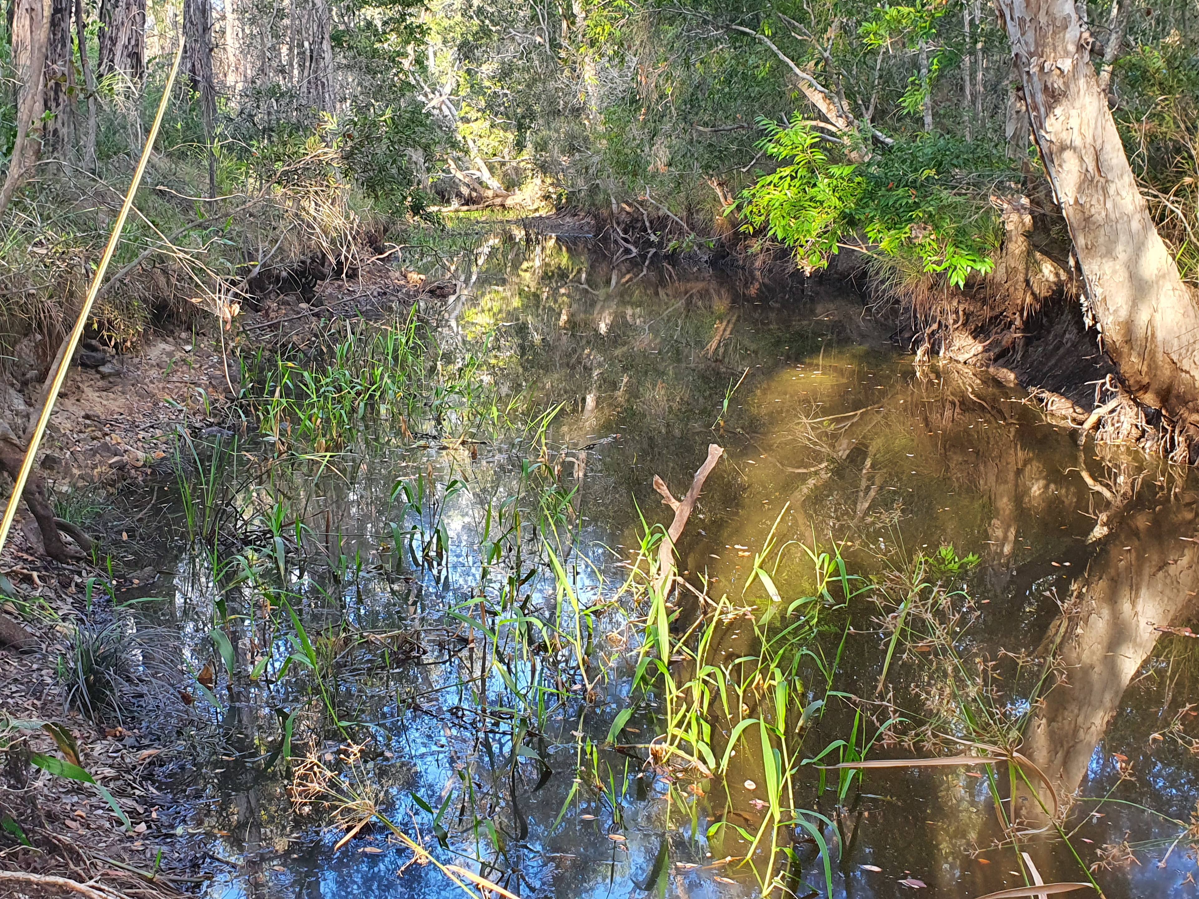 Private Coastal Getaway