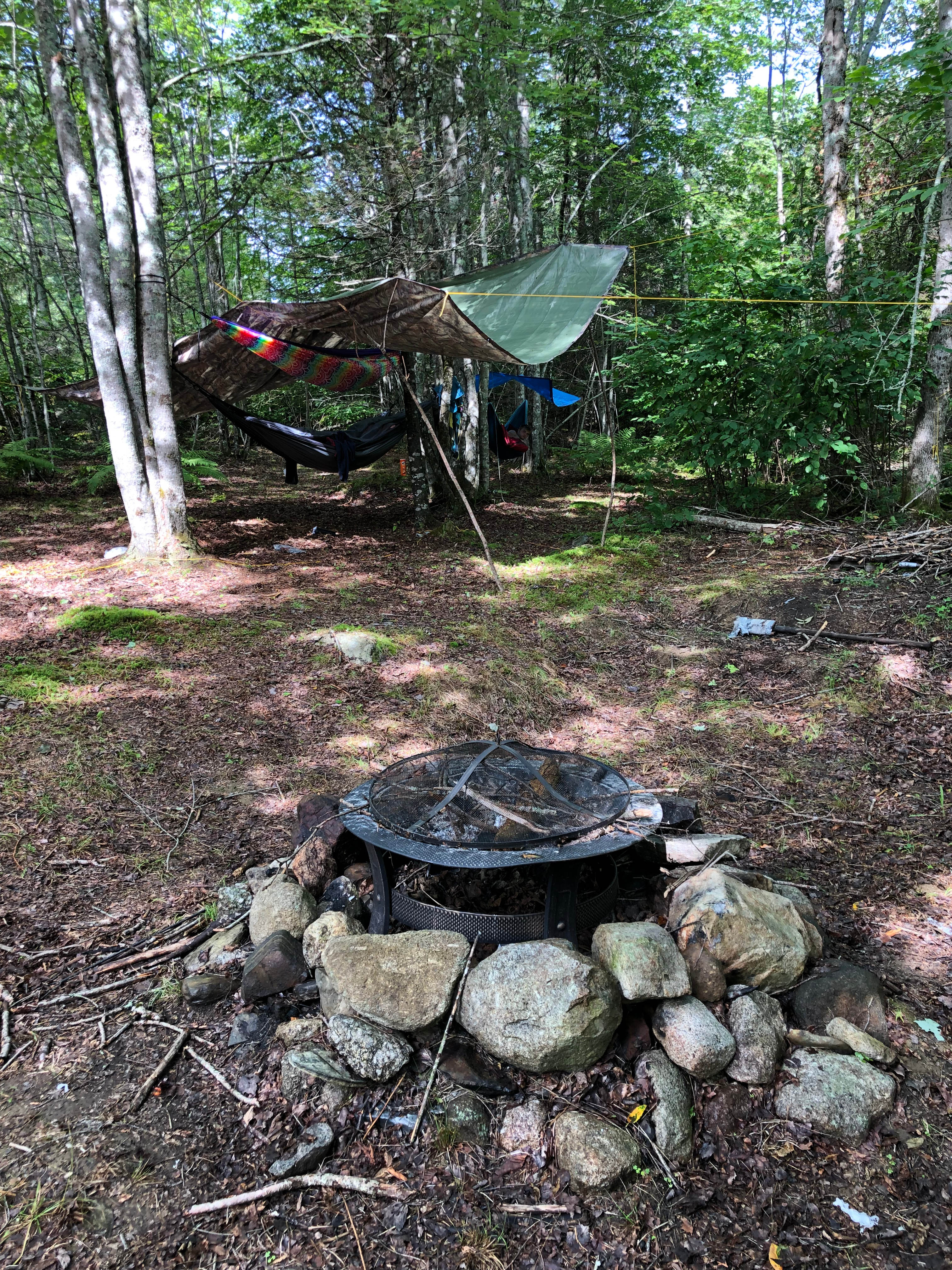 Peninsula Links Campsite