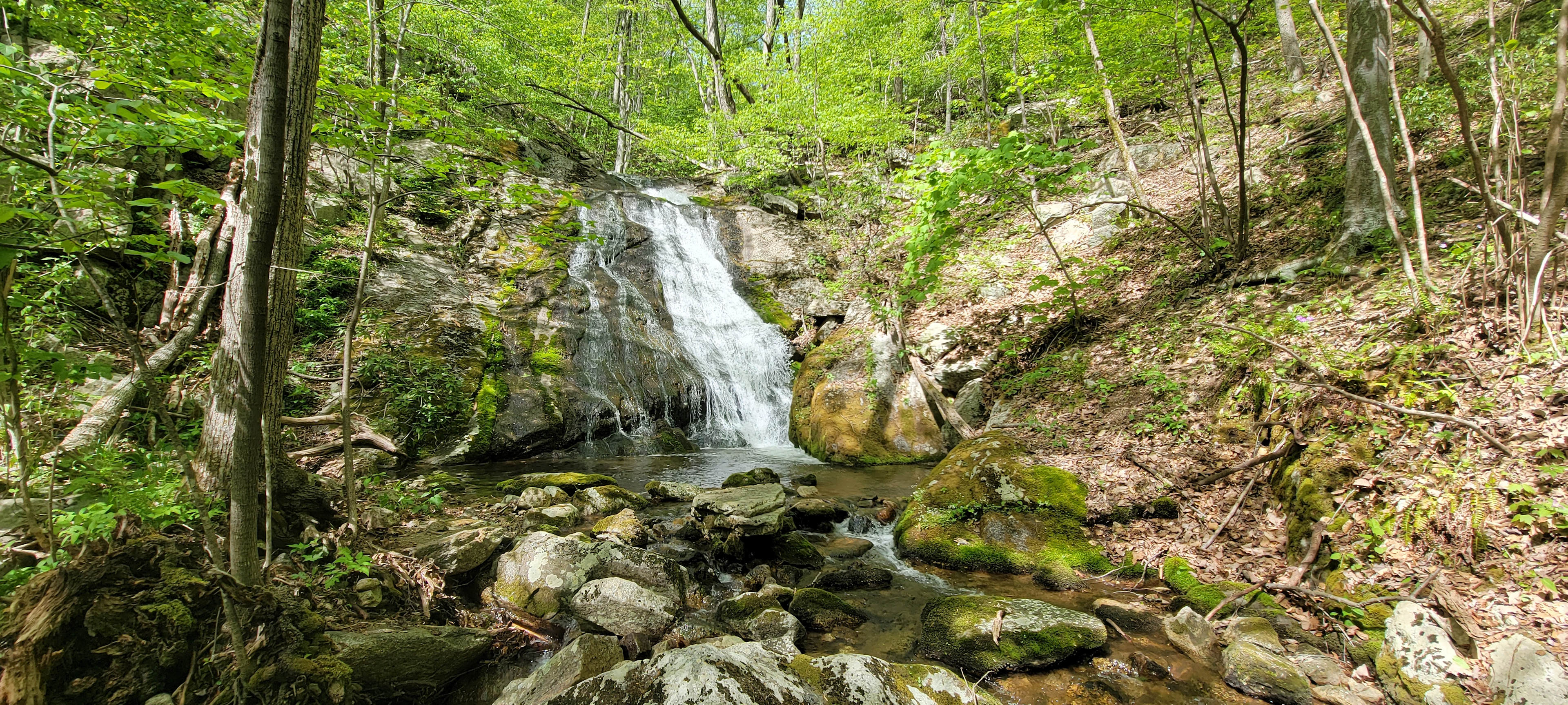 Joe's creek waterfall is a beautiful simple hike  (no camping allowed at the waterfall area)  See our rules for hiking and day use of beautiful area of the property.
