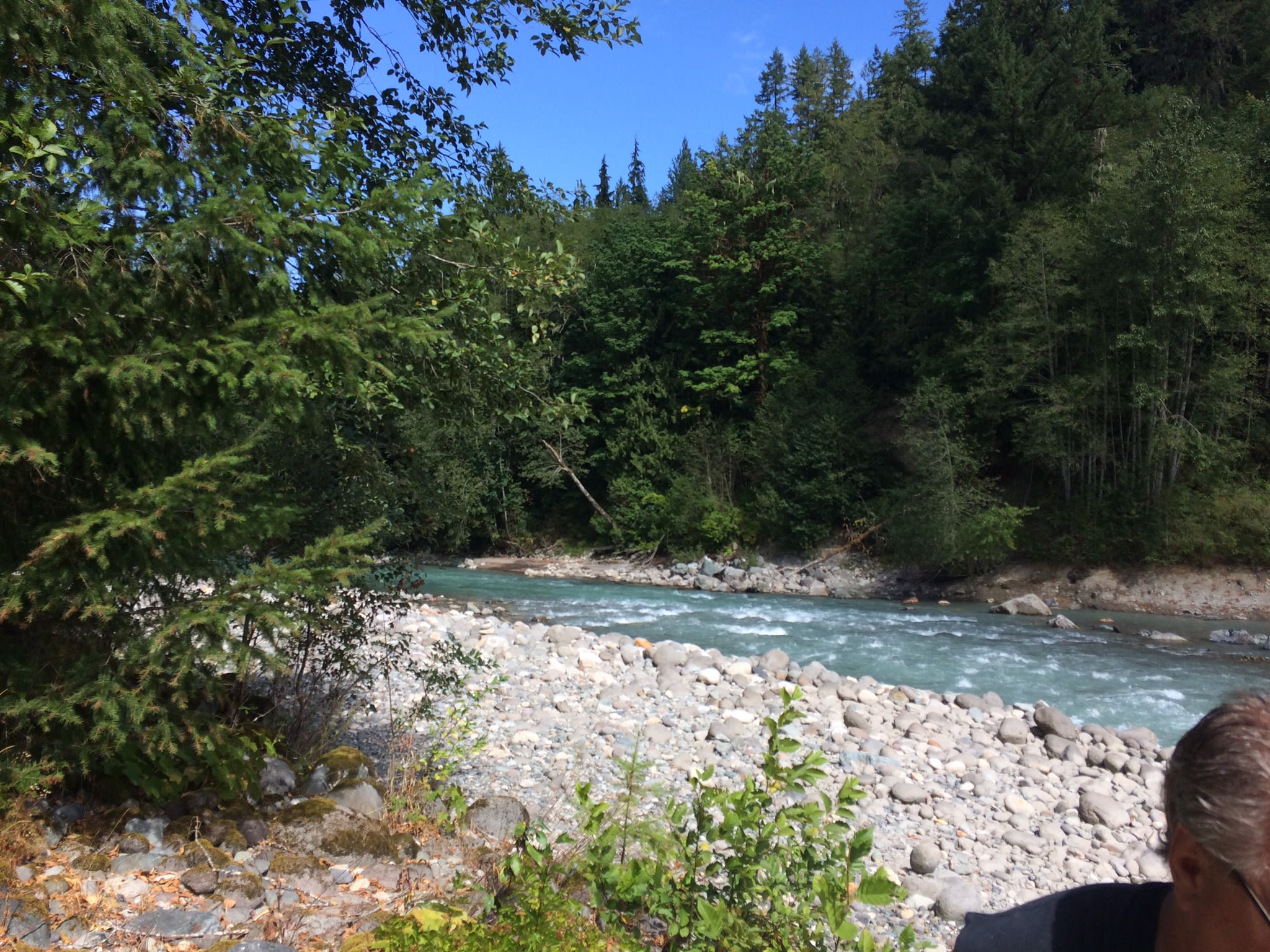 Wooded camp site on Sauk river
