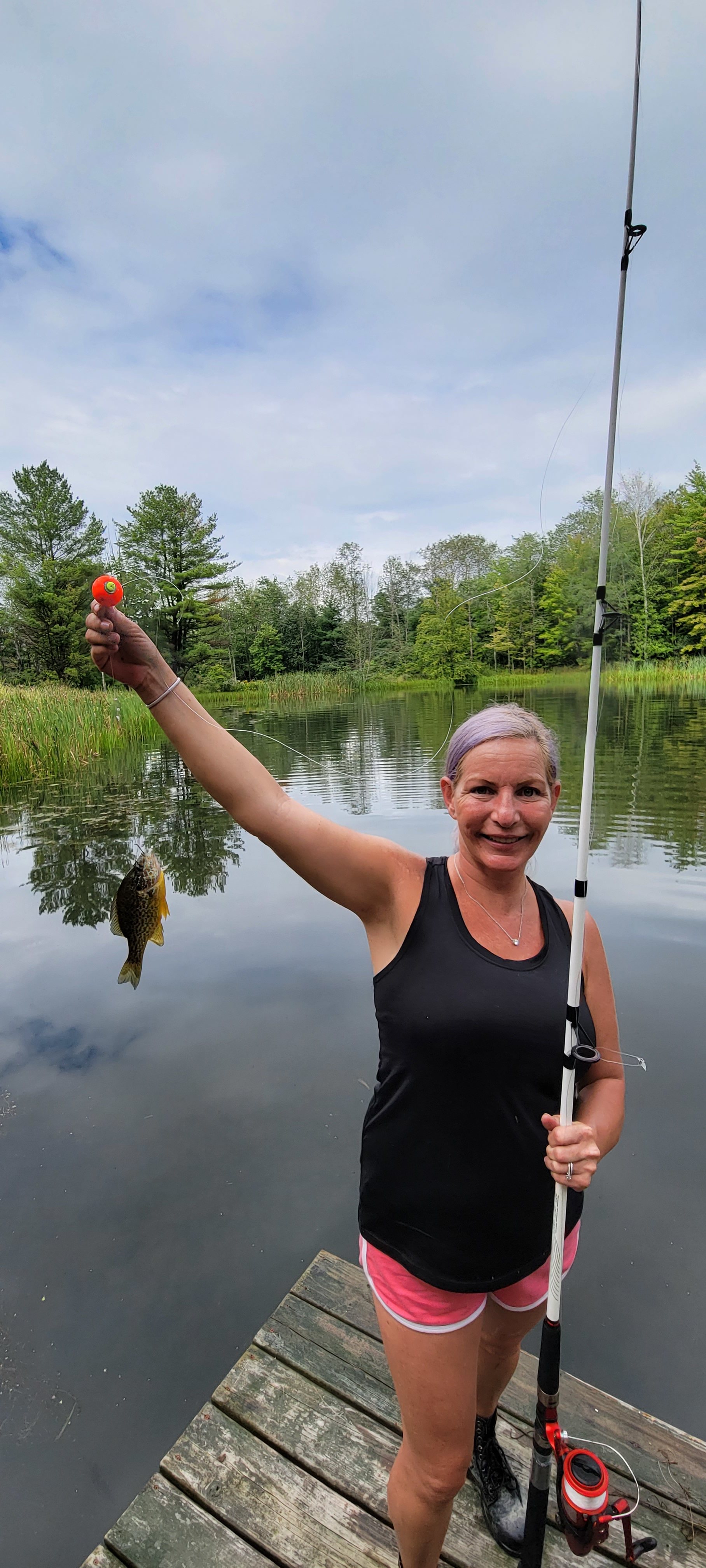 Rustic Reins-Off Grid Cabin