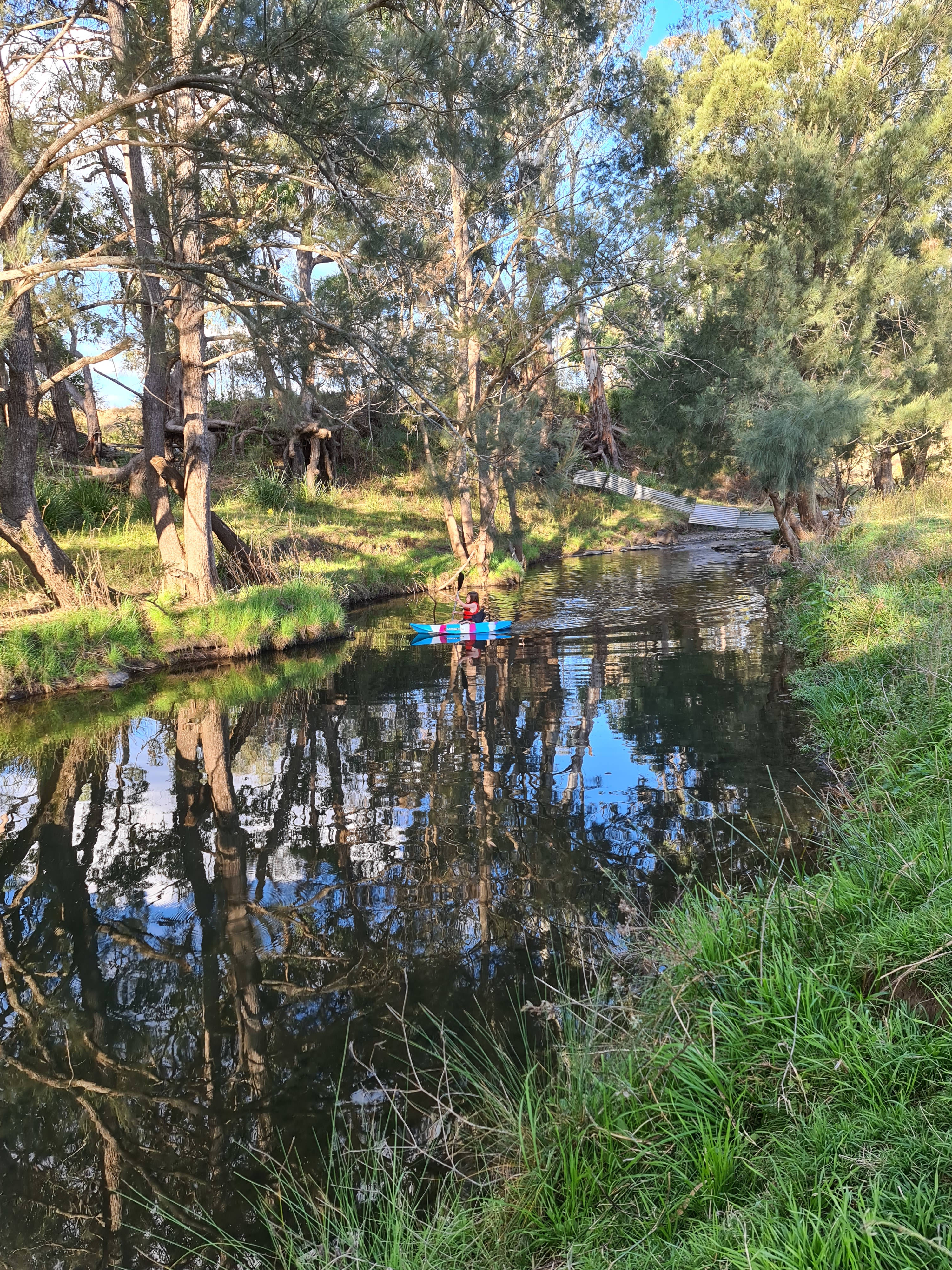 Millar Vale Creek Camping Innisfree