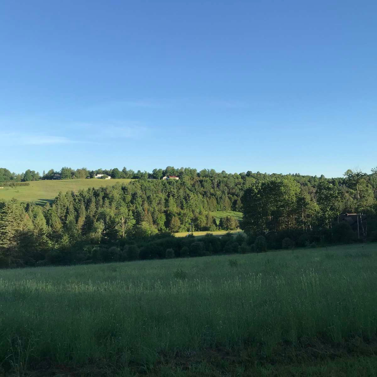 Broadfork Farmstead