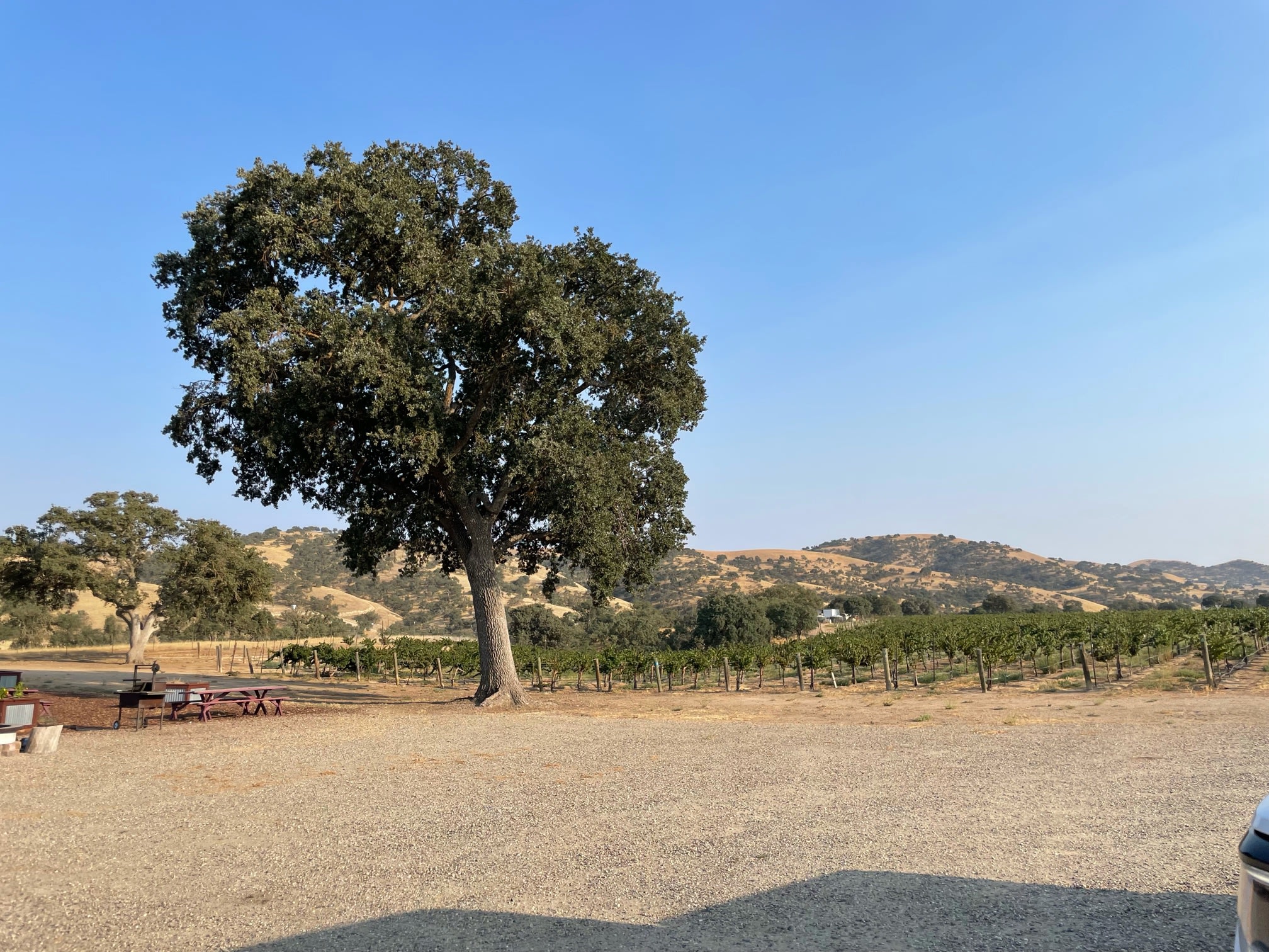 Pianetta Ranch & Winery