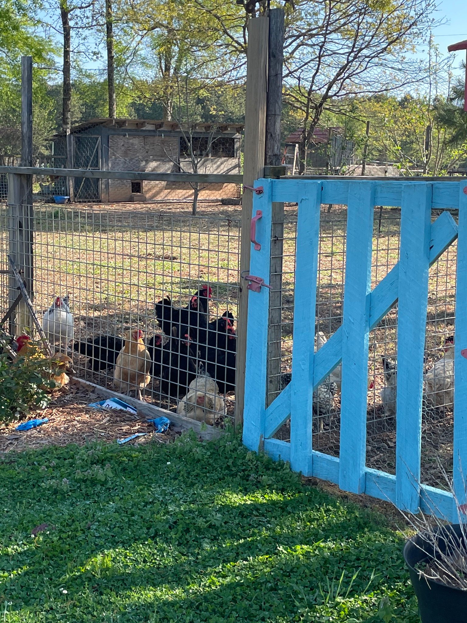 Jubilee Farm at Whiskey Bravo Ranch