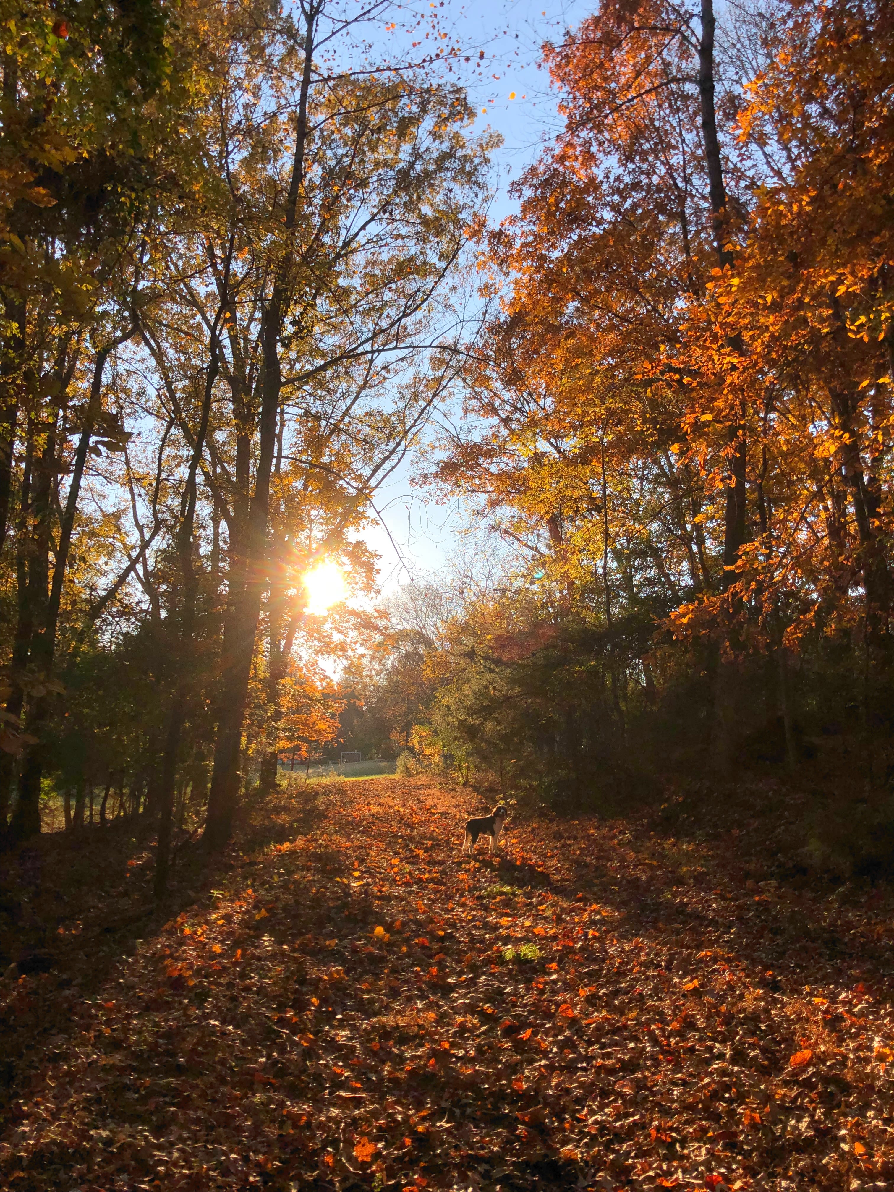 Property and public land offers beautiful nature walks year round