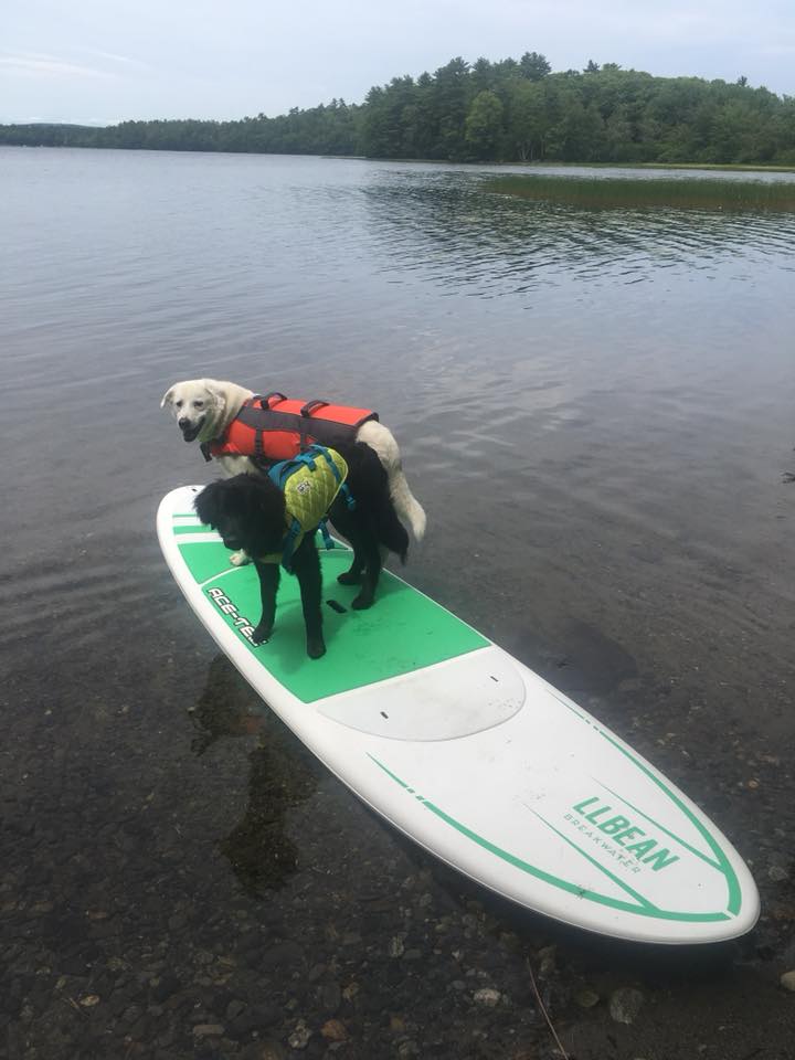 Paddleboarding is a great way to get out on the water.