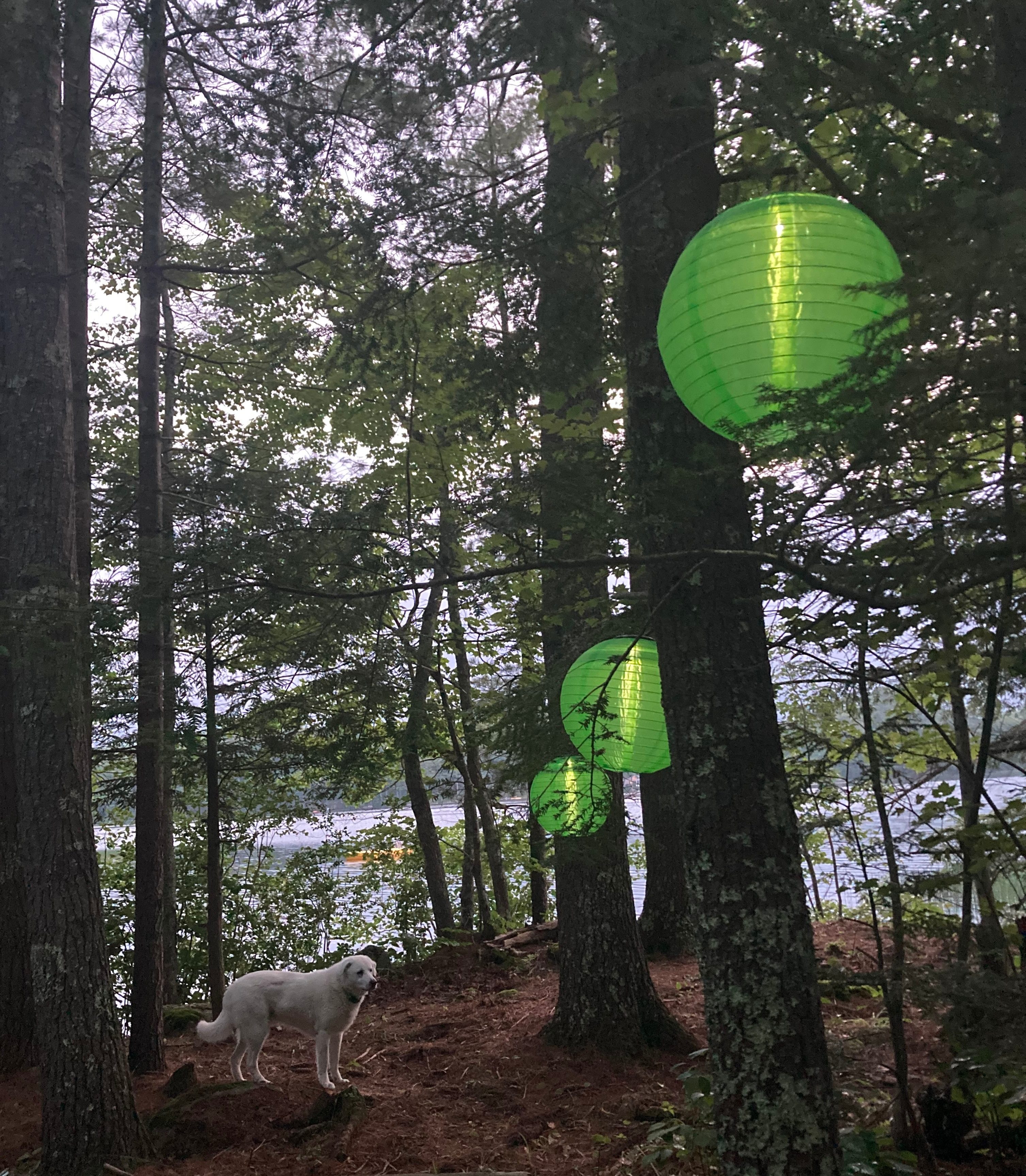 Solar lights in the evening.