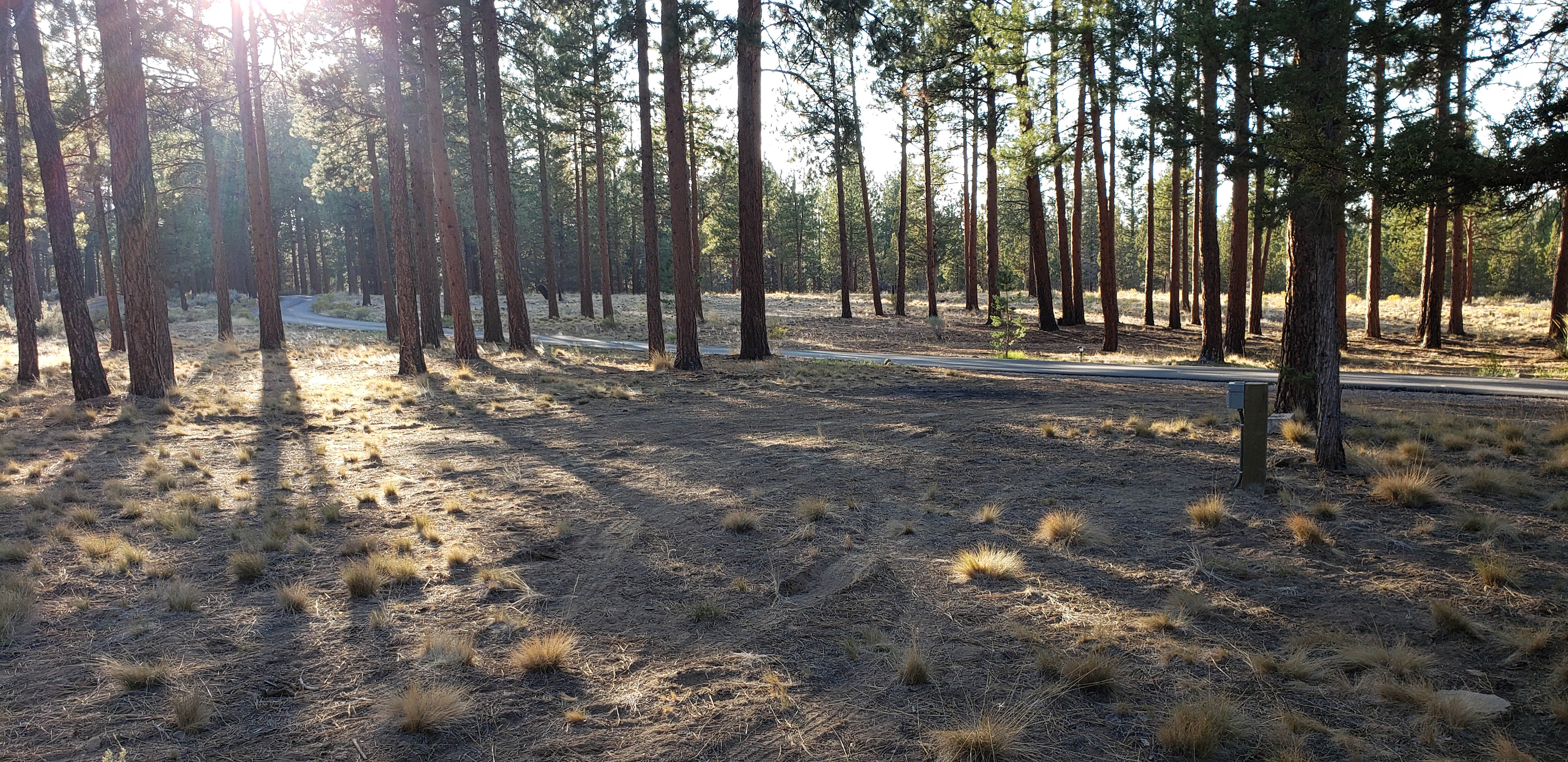 Trout Pines Camping