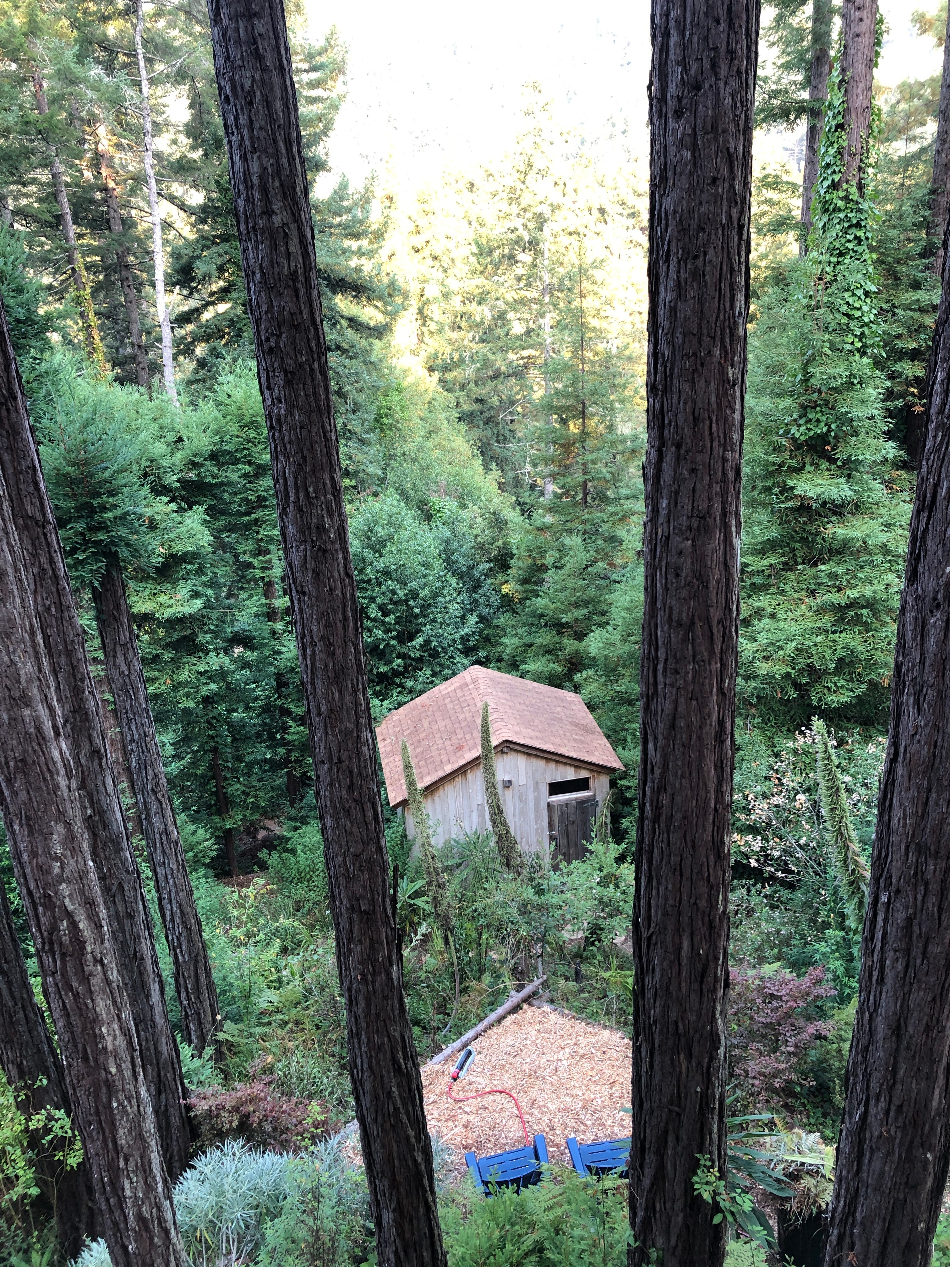View of the taverna from the deck of the main house
