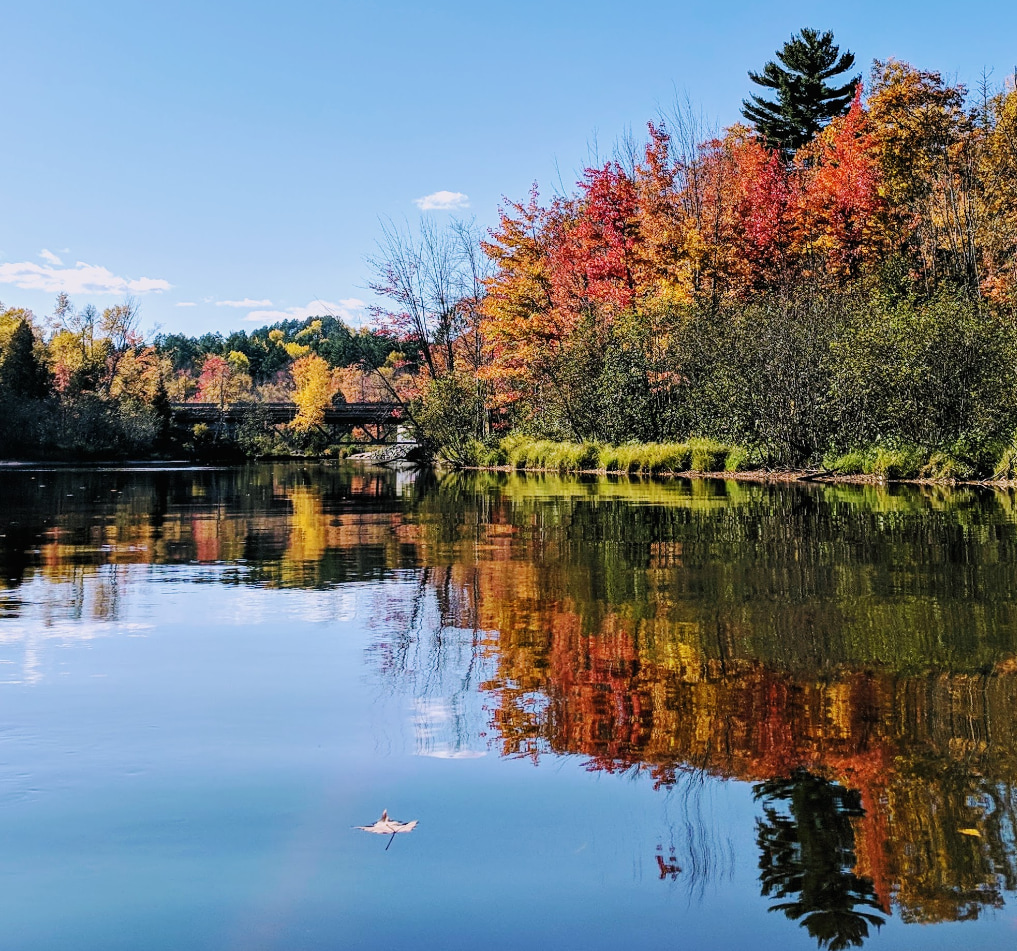 Possum Creek Campground