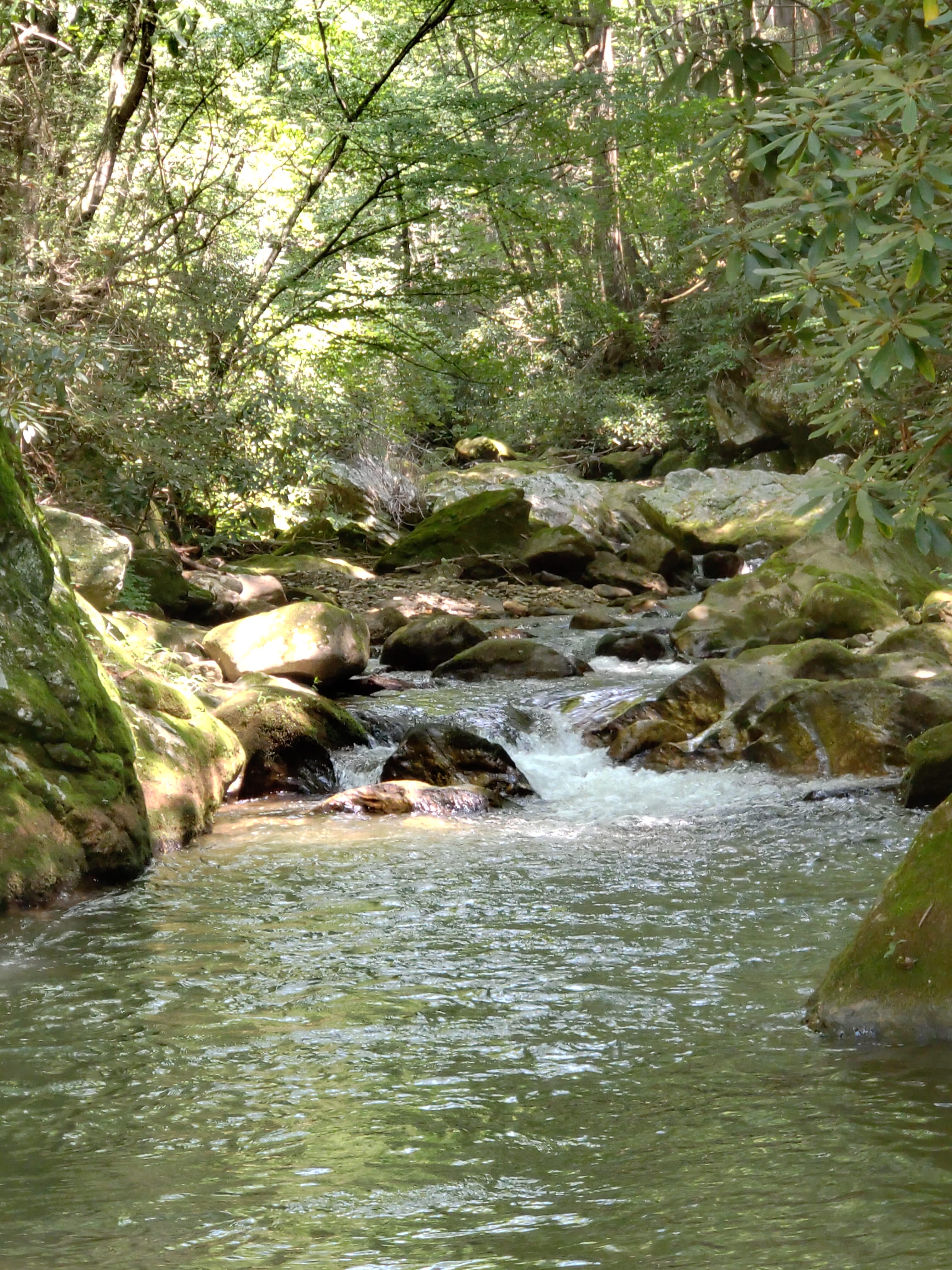 Rejuvenation River & Mtn Campsite