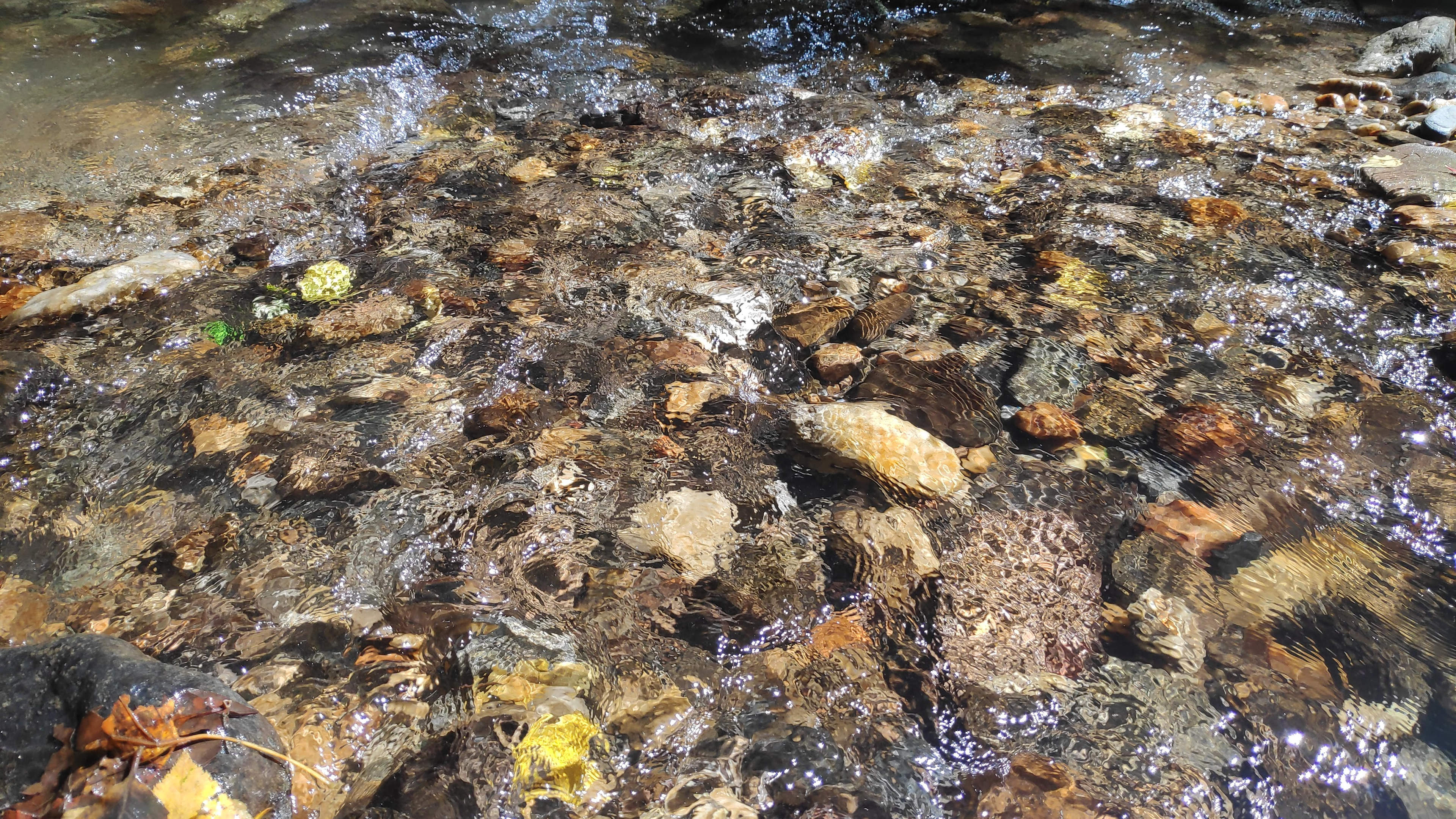 Rejuvenation River & Mtn Campsite