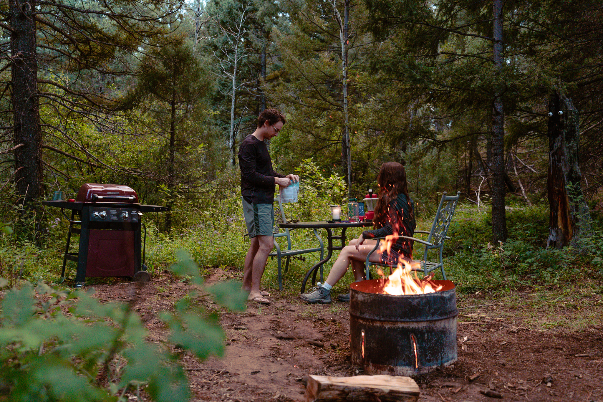 Plenty of firewood on the property to get a nice, cozy campfire going.