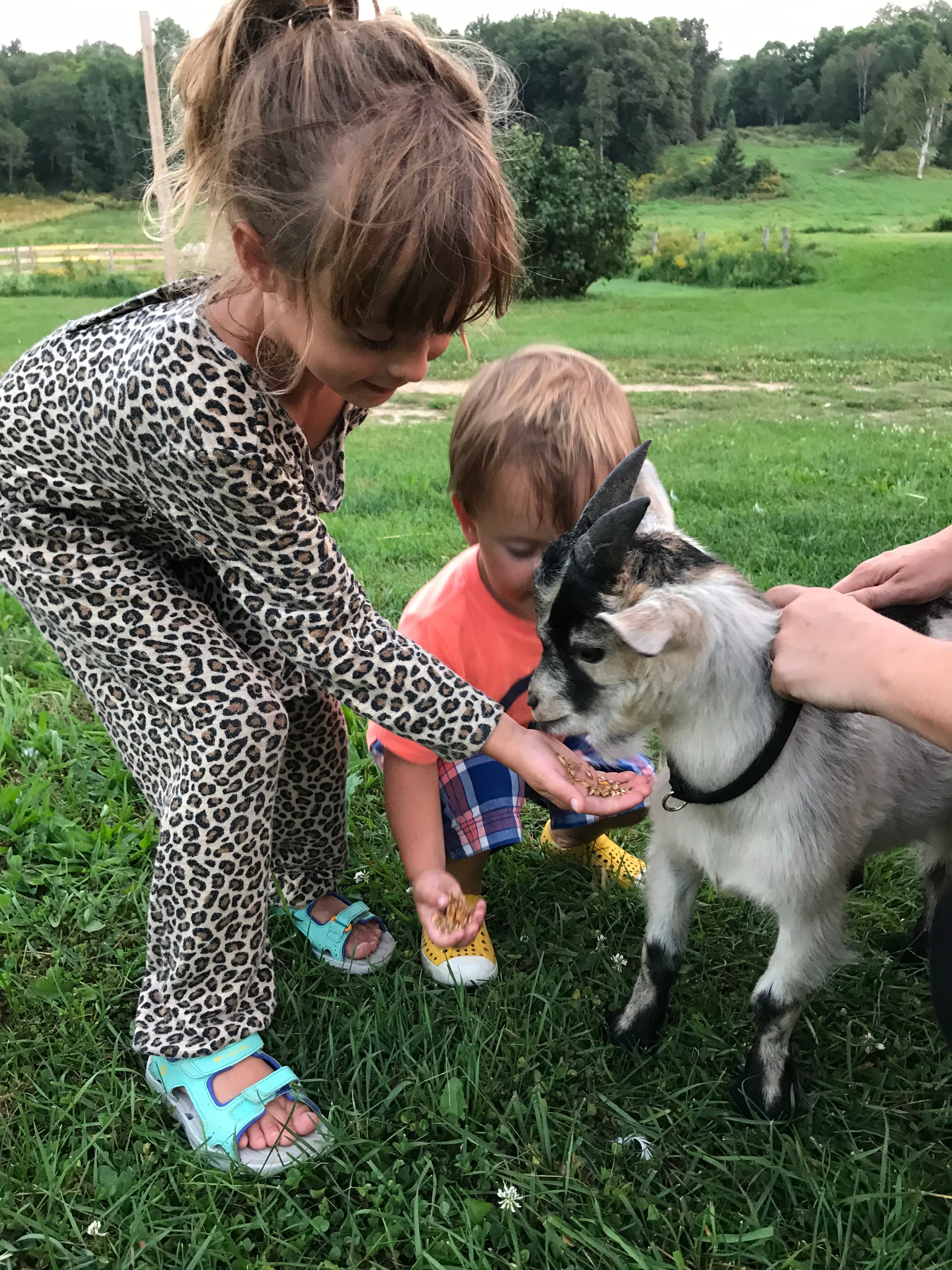 Stone Oaks Farm