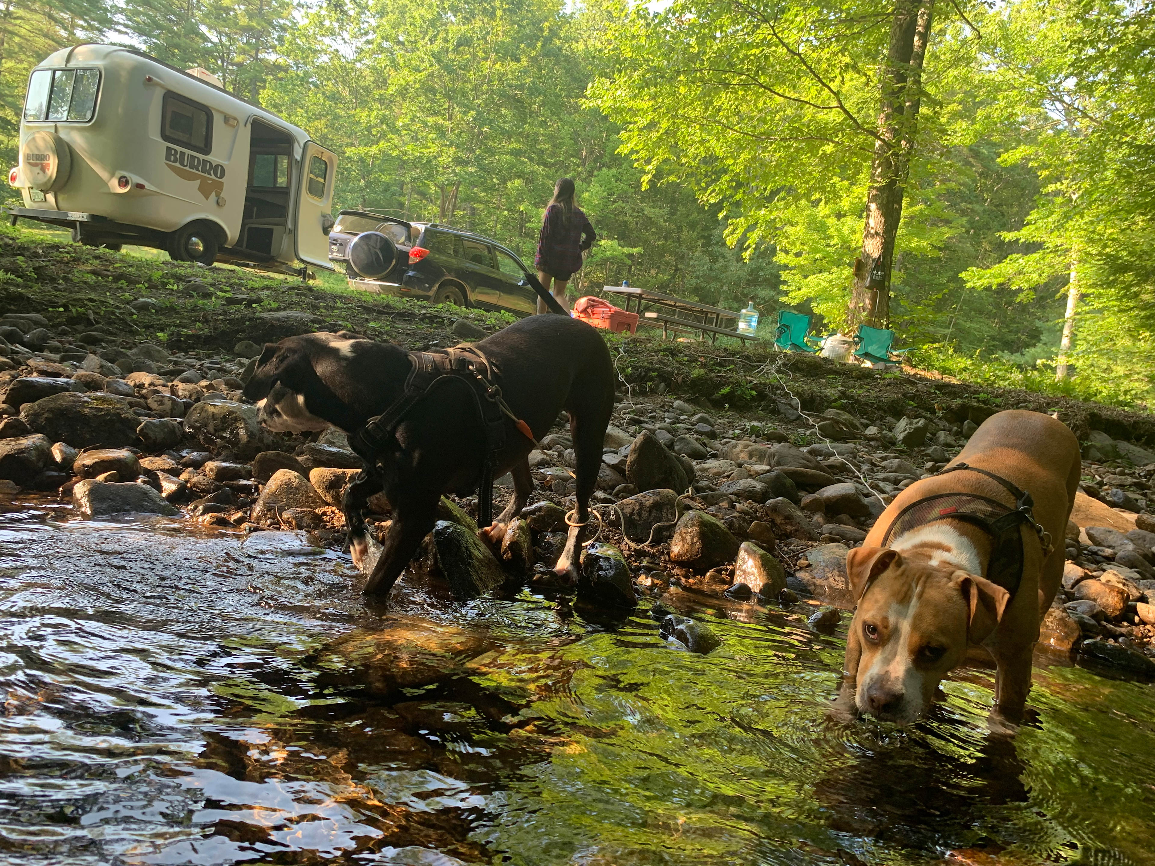 Pitch Perfect at Canterbrook