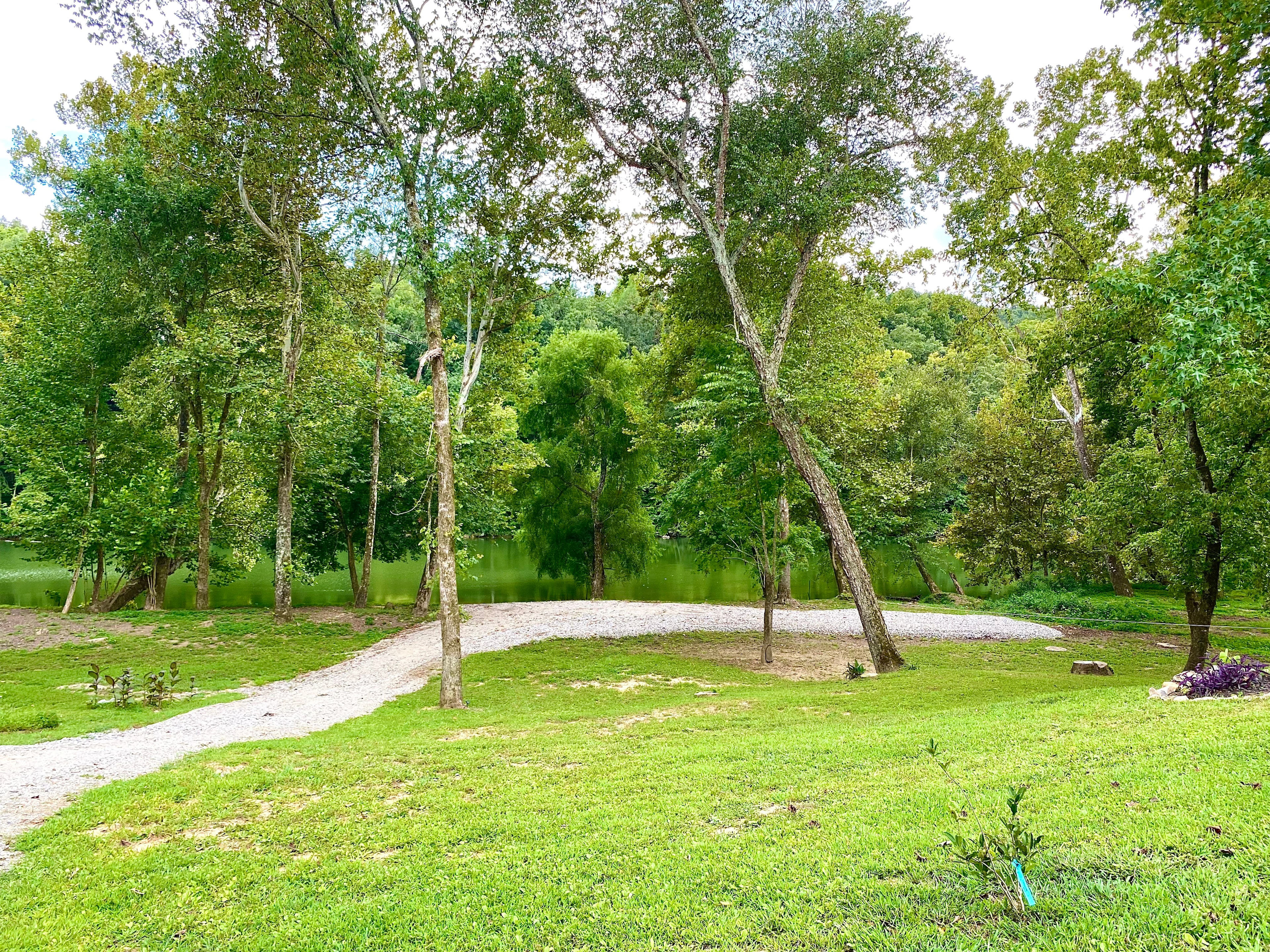 Campsite on the Caney