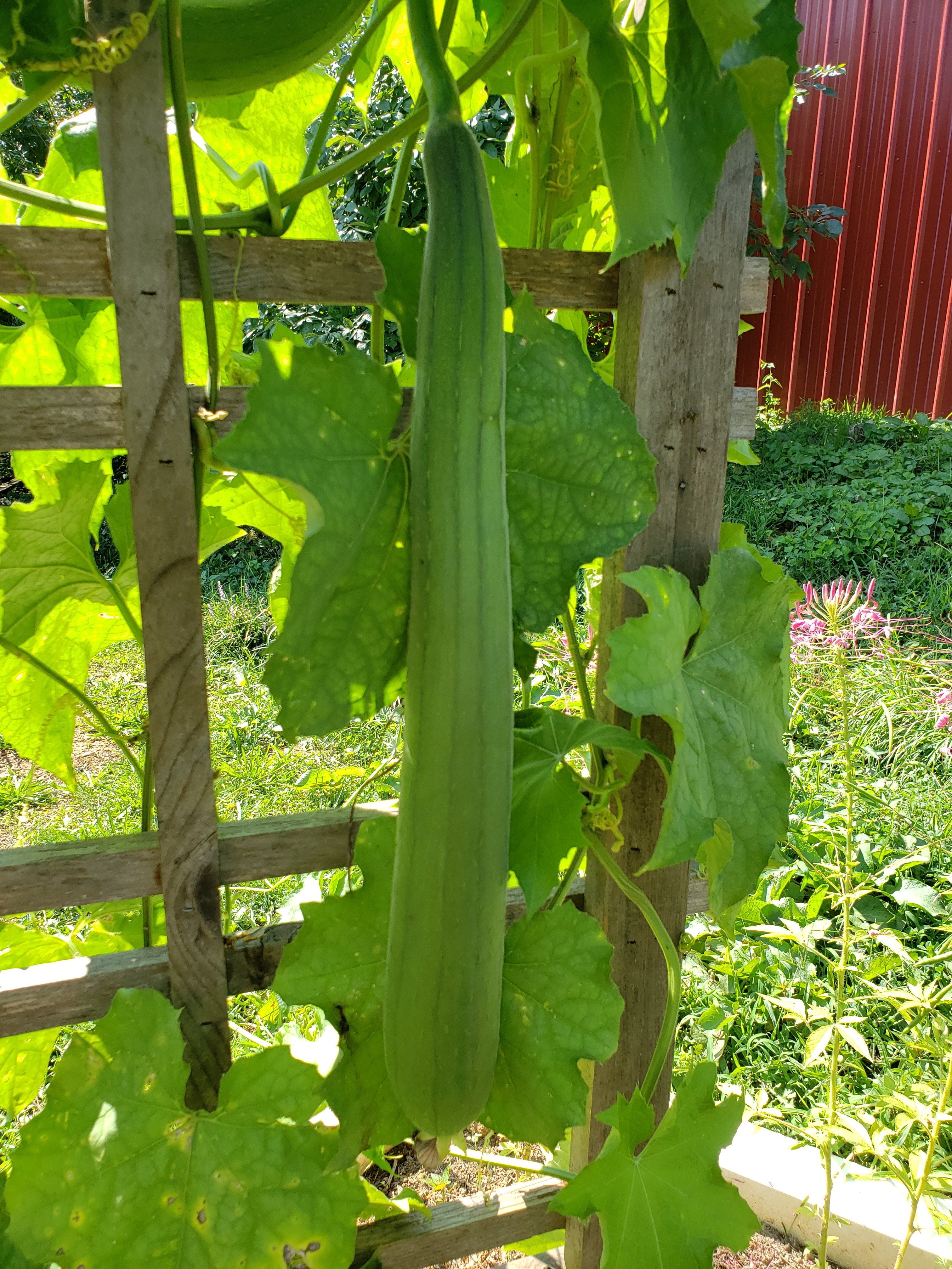 2nd40 to 420 - The Farm