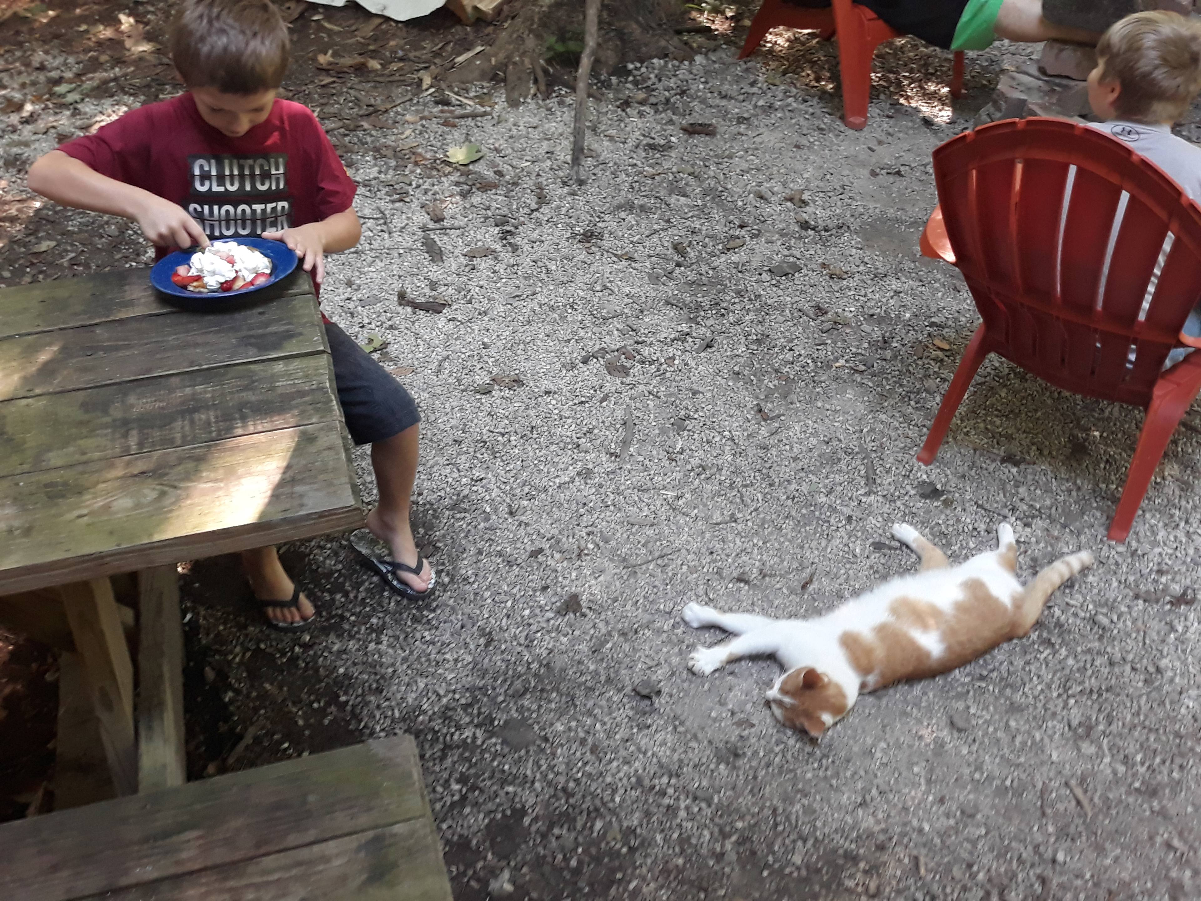 Sawdust FarmCamp