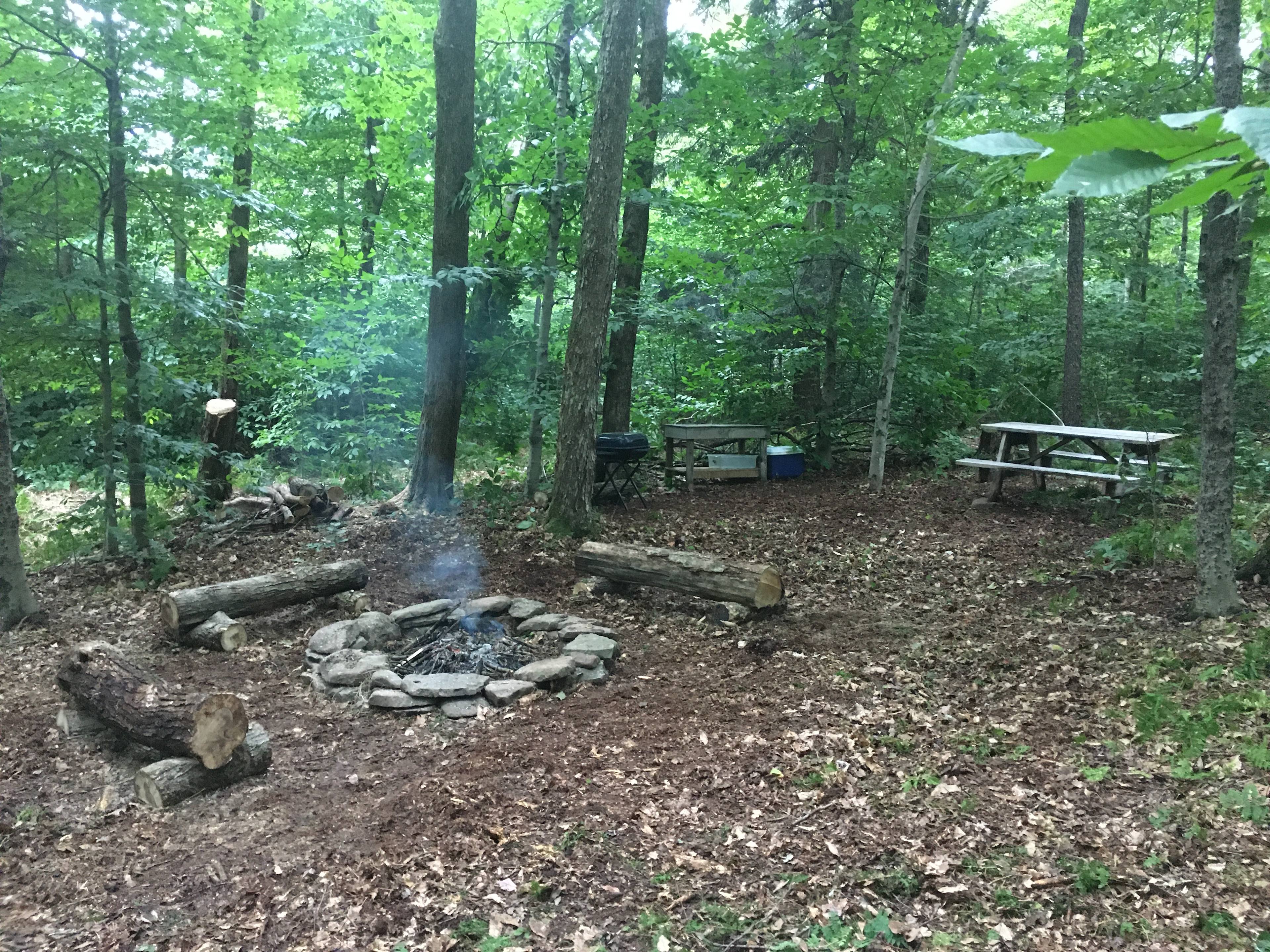 "Corbin Court" 
1 minute walk to restroom and parking lot.
Wifi available within campsite.

