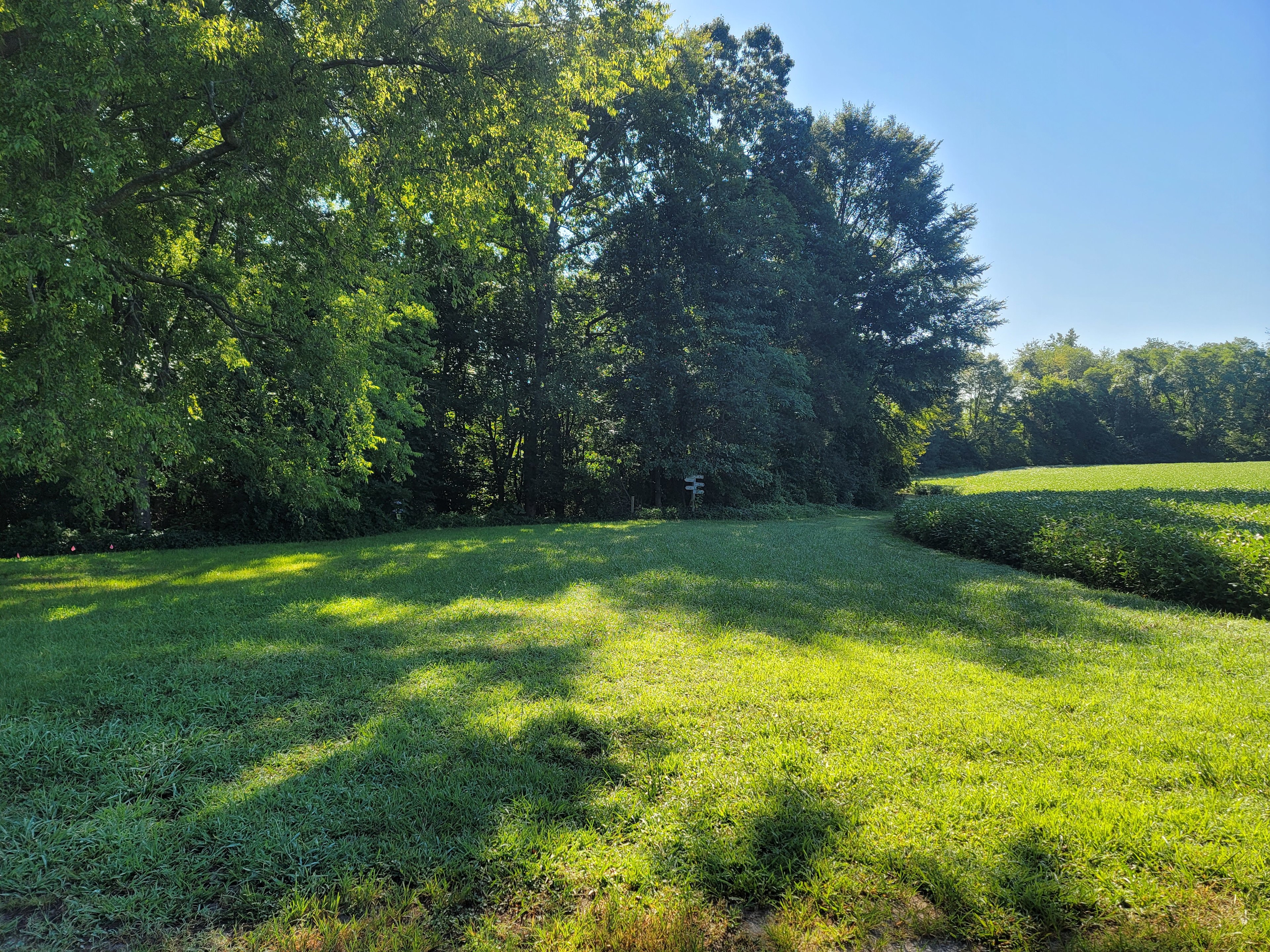 Parking and road to campsite #1