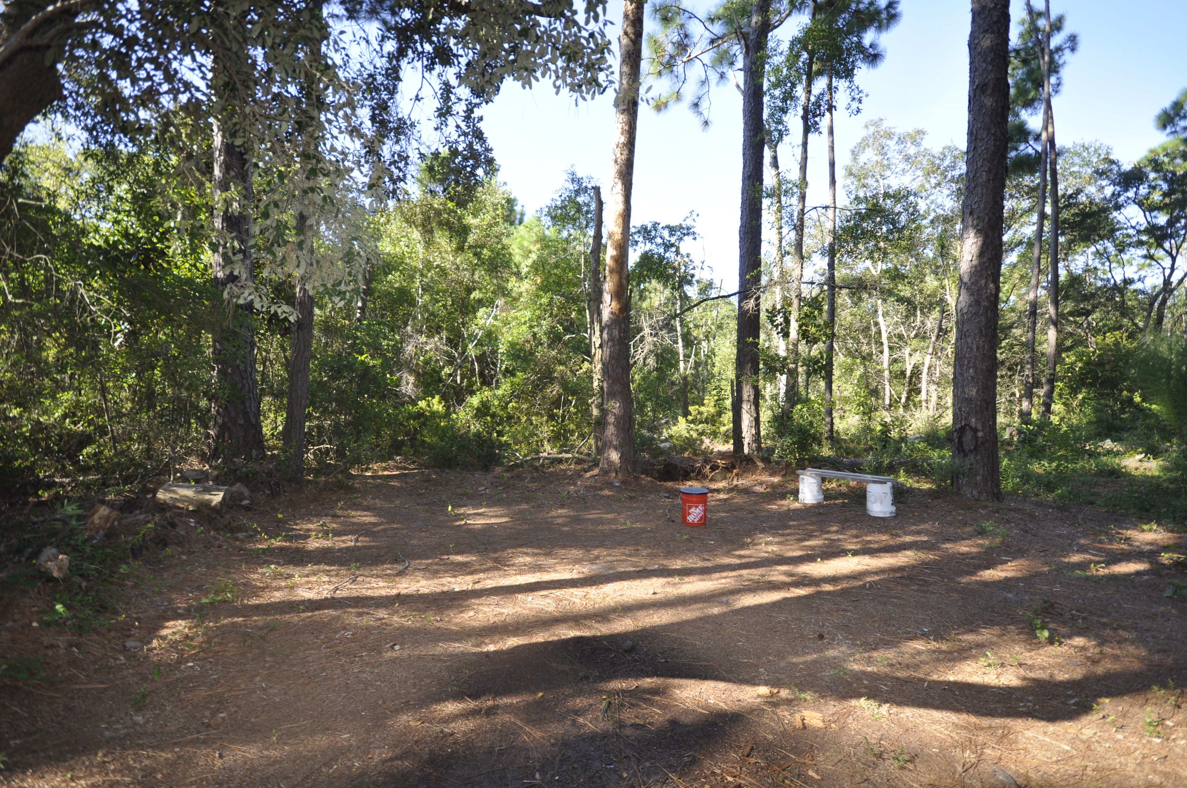 Pine forest, 5 minutes to the beach