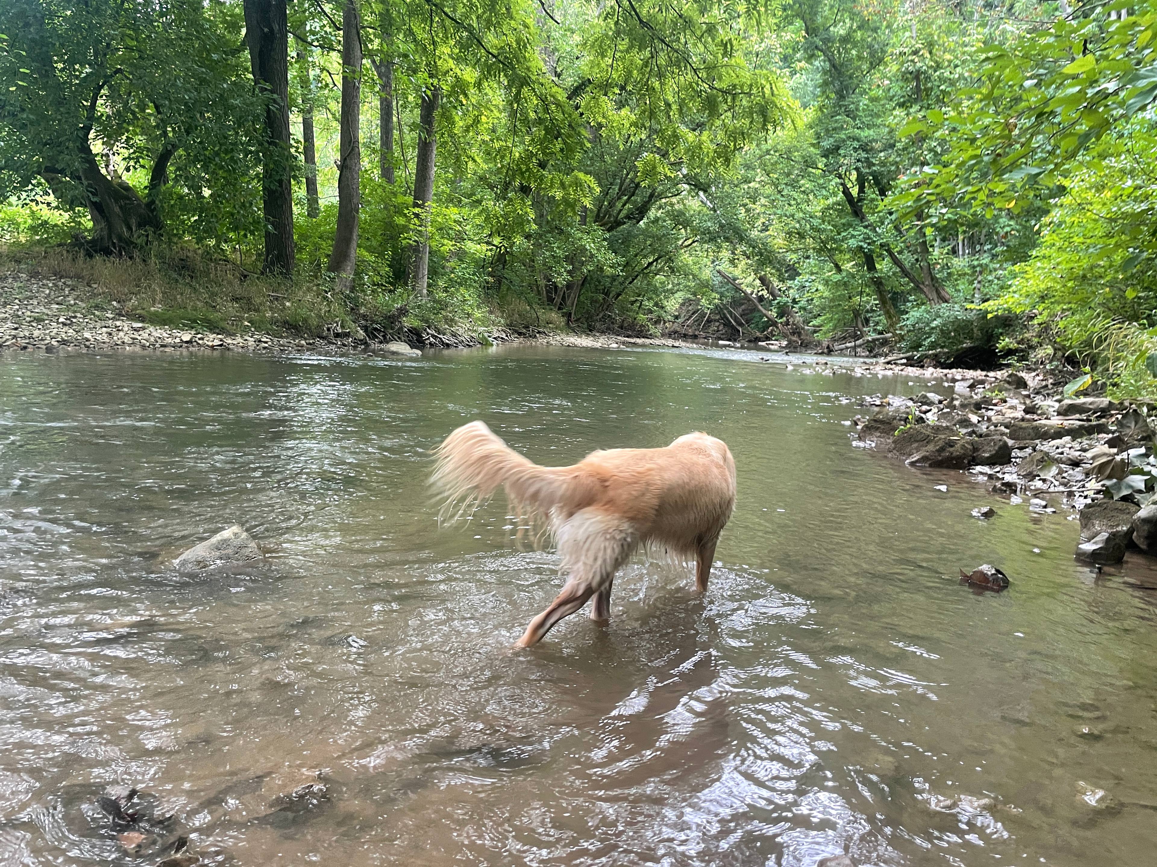 Riverside Campground at Seneca