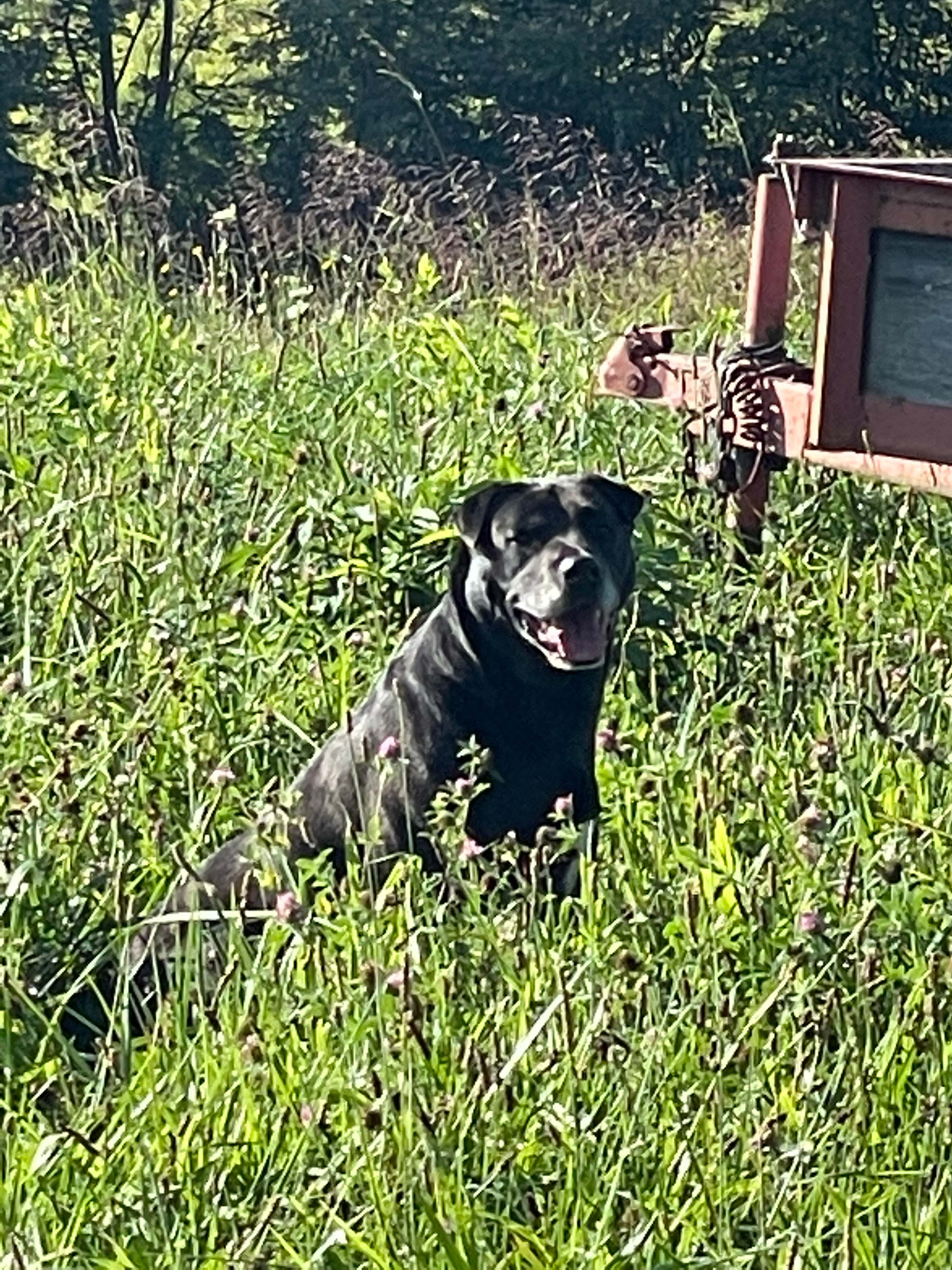 Pete in his happy place