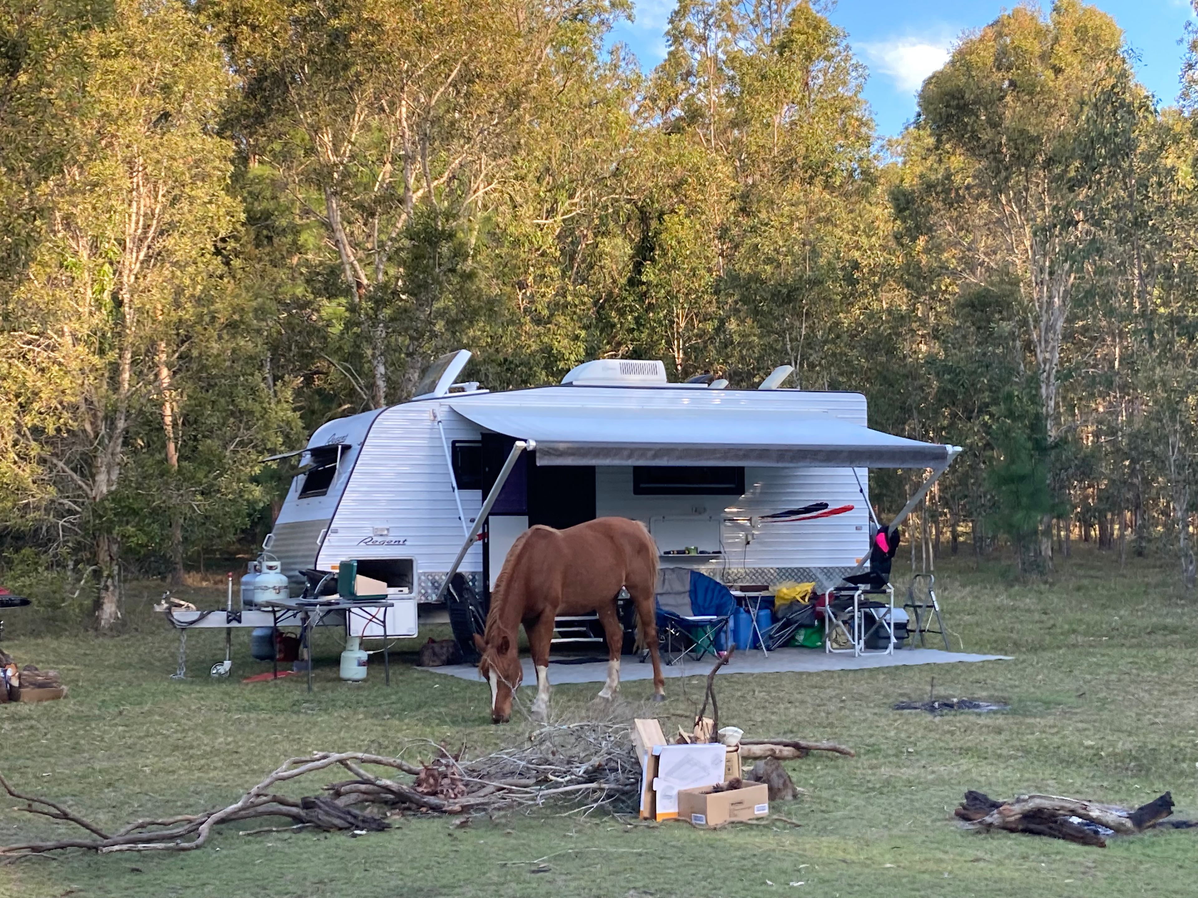 Warrego Warmblood Stud