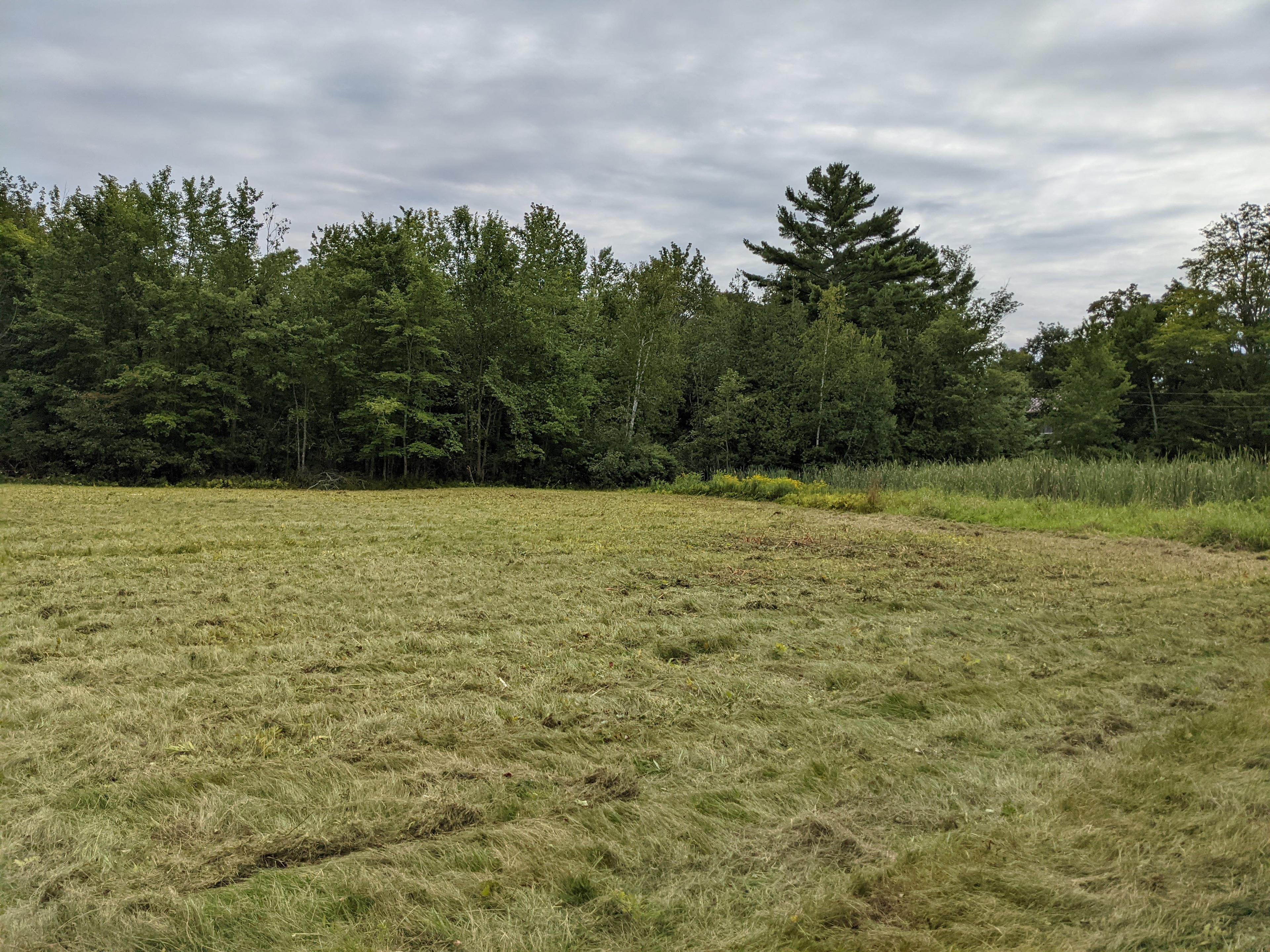 Private field next to a pond 