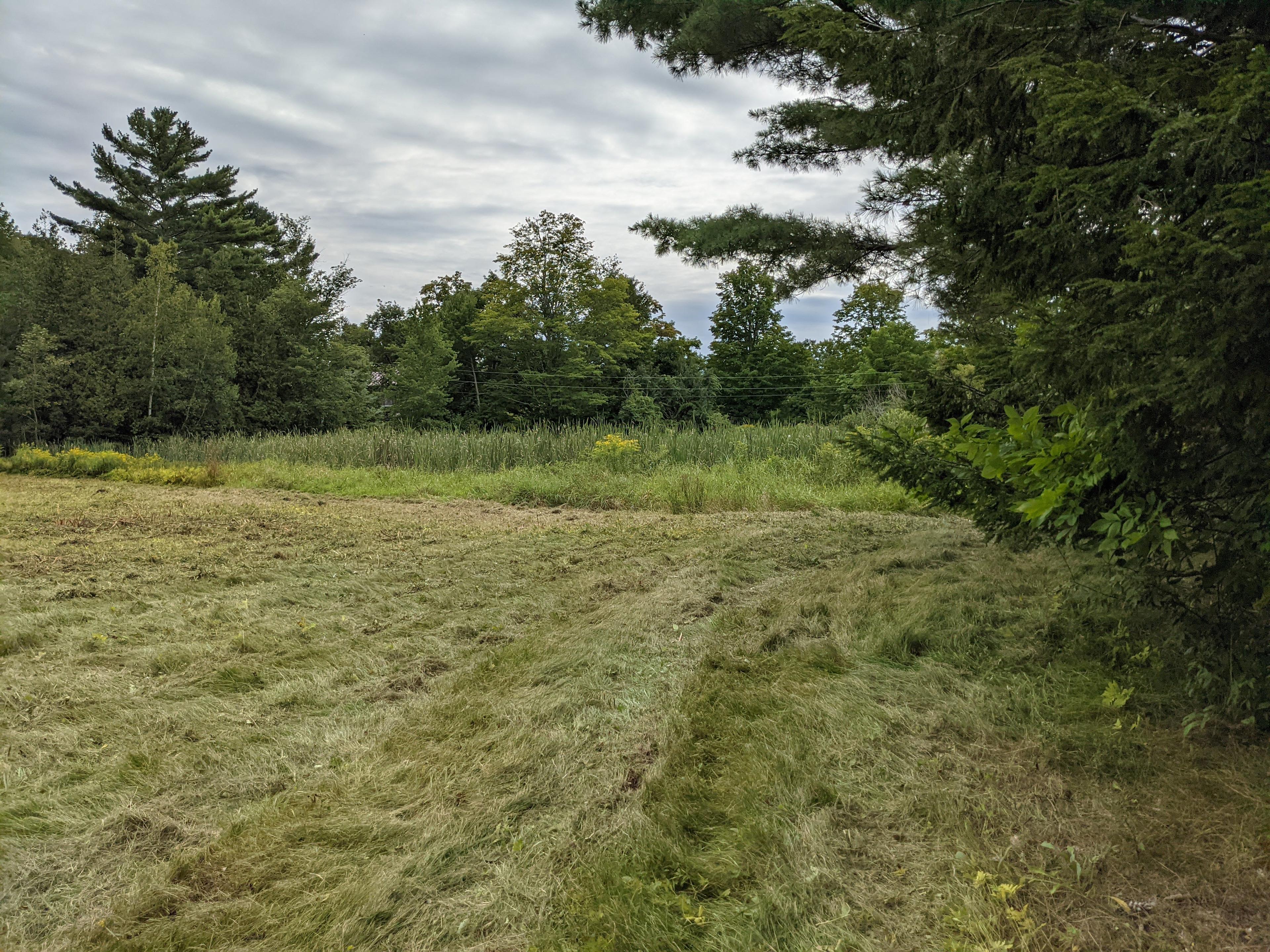 Private field next to a pond 