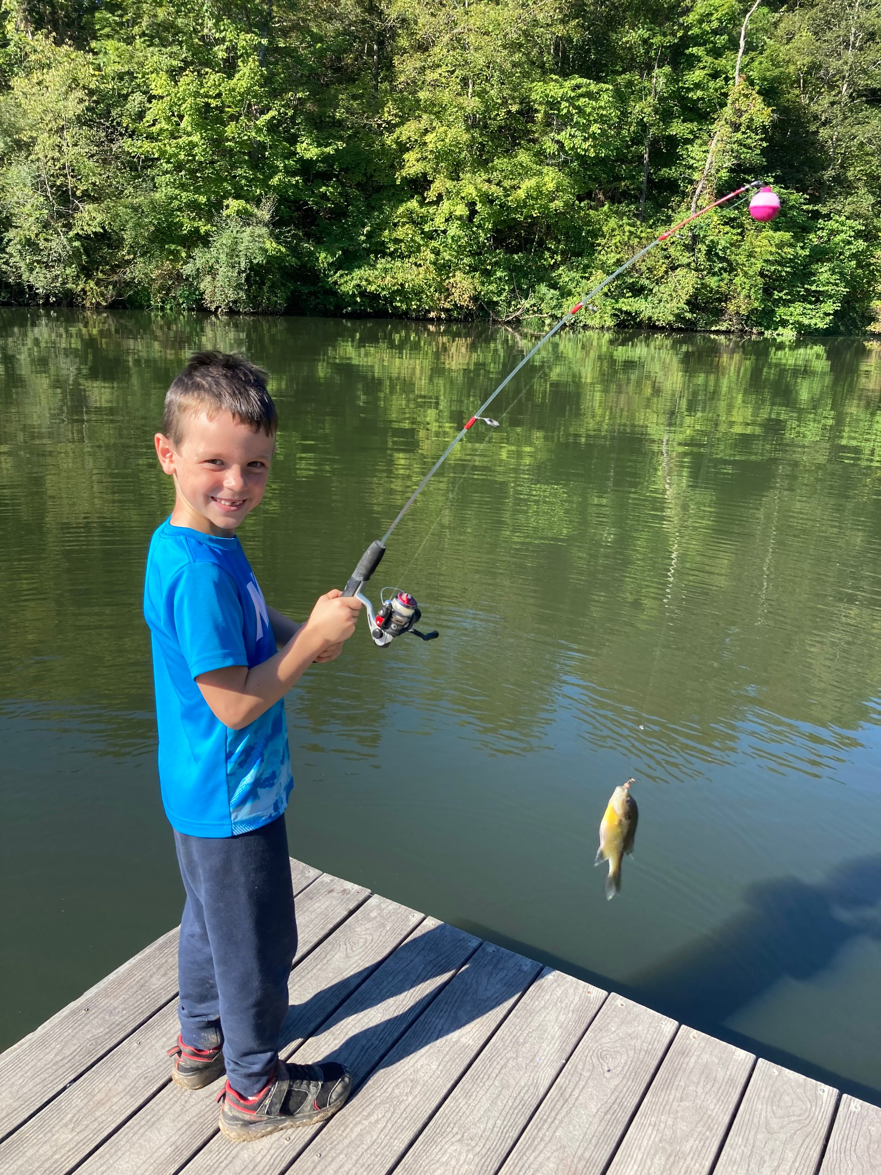 Dexter Run Farms and Lodging