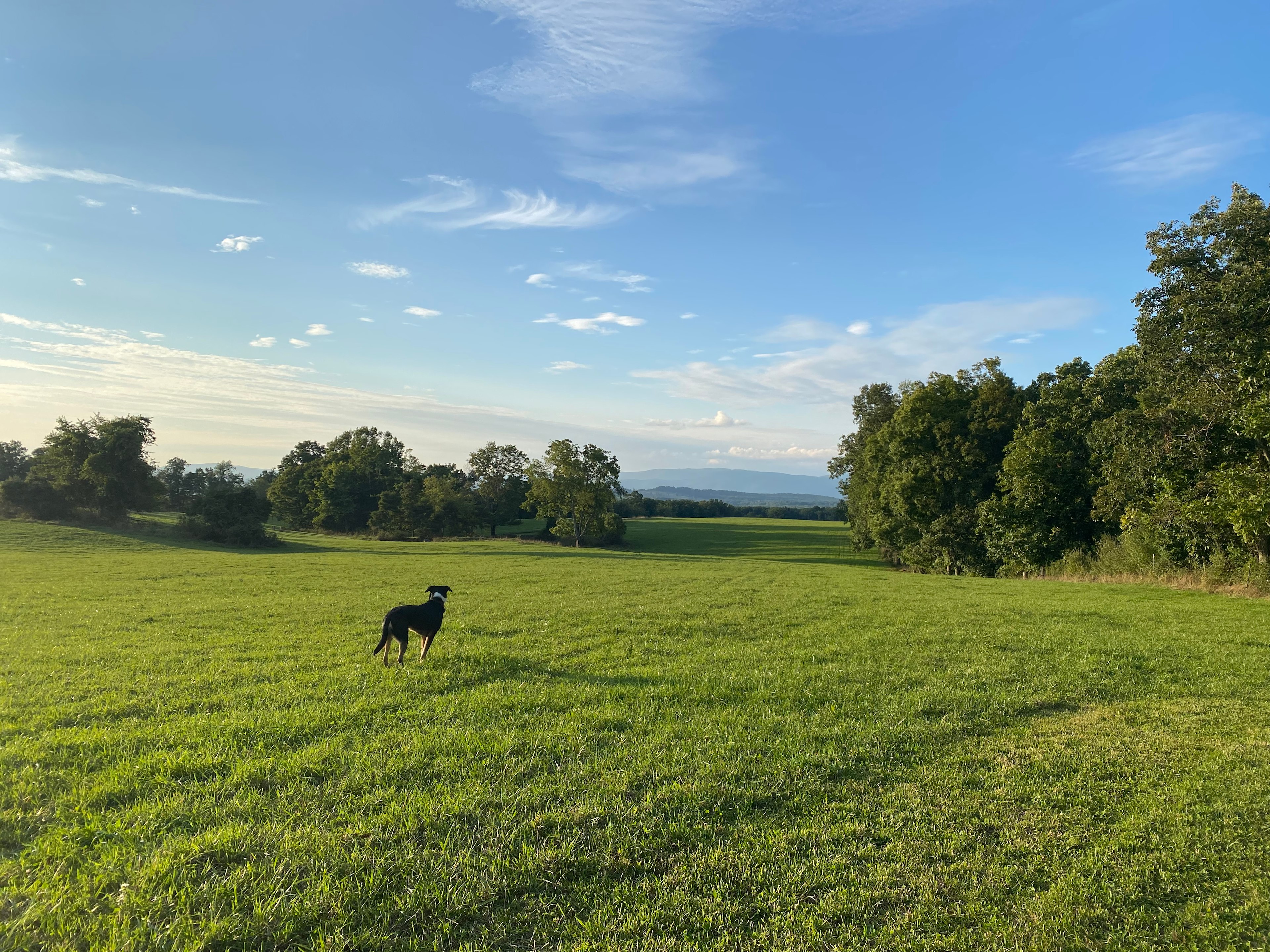 Mountains,Woods,Ponds, Natural