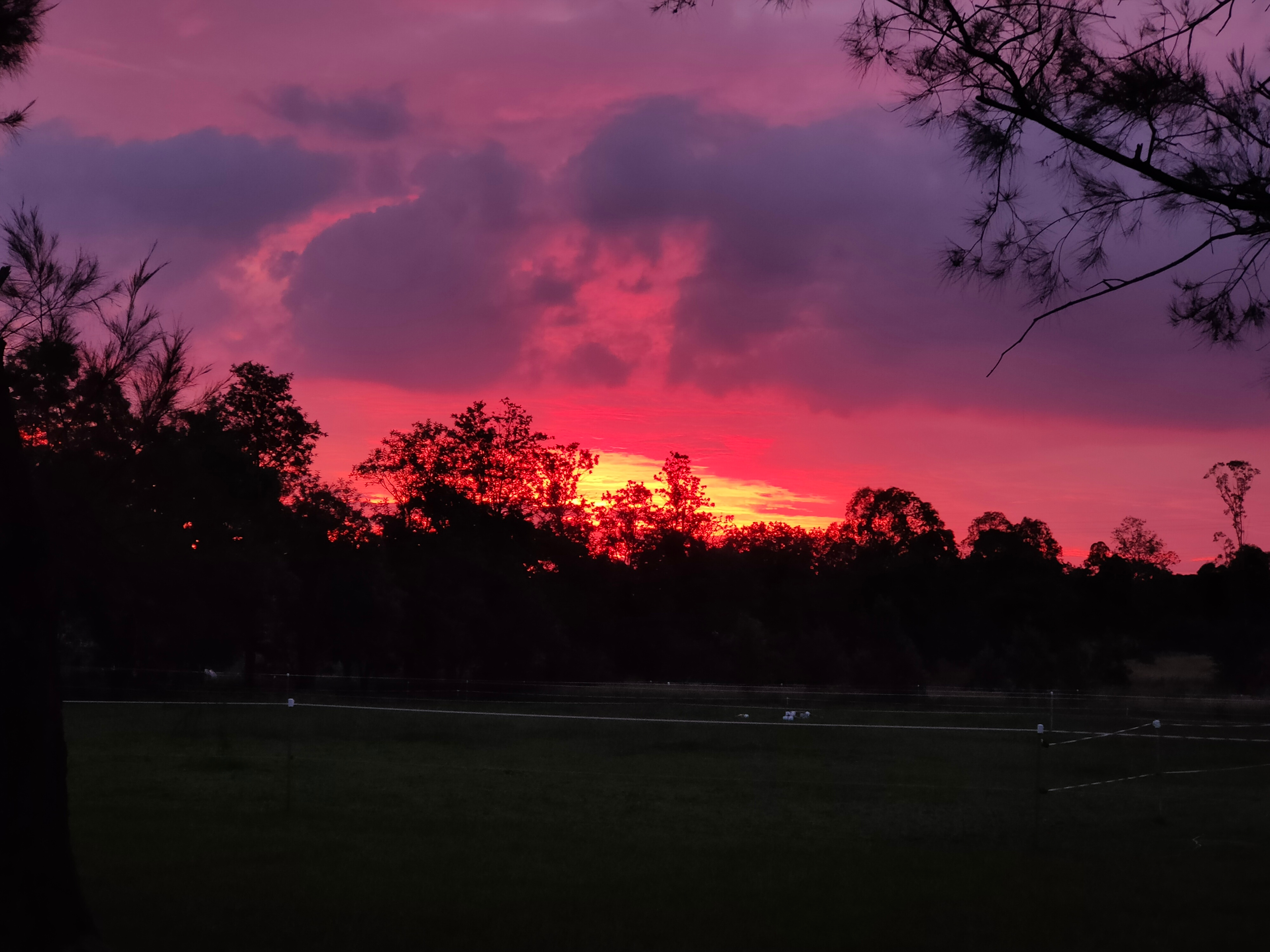 The campsites are on the eastern side of the property by the river where you'll enjoy stunning sunrises while being sheltered from the western sun.  Gorgeous sunsets can be viewed from the front of the property. 