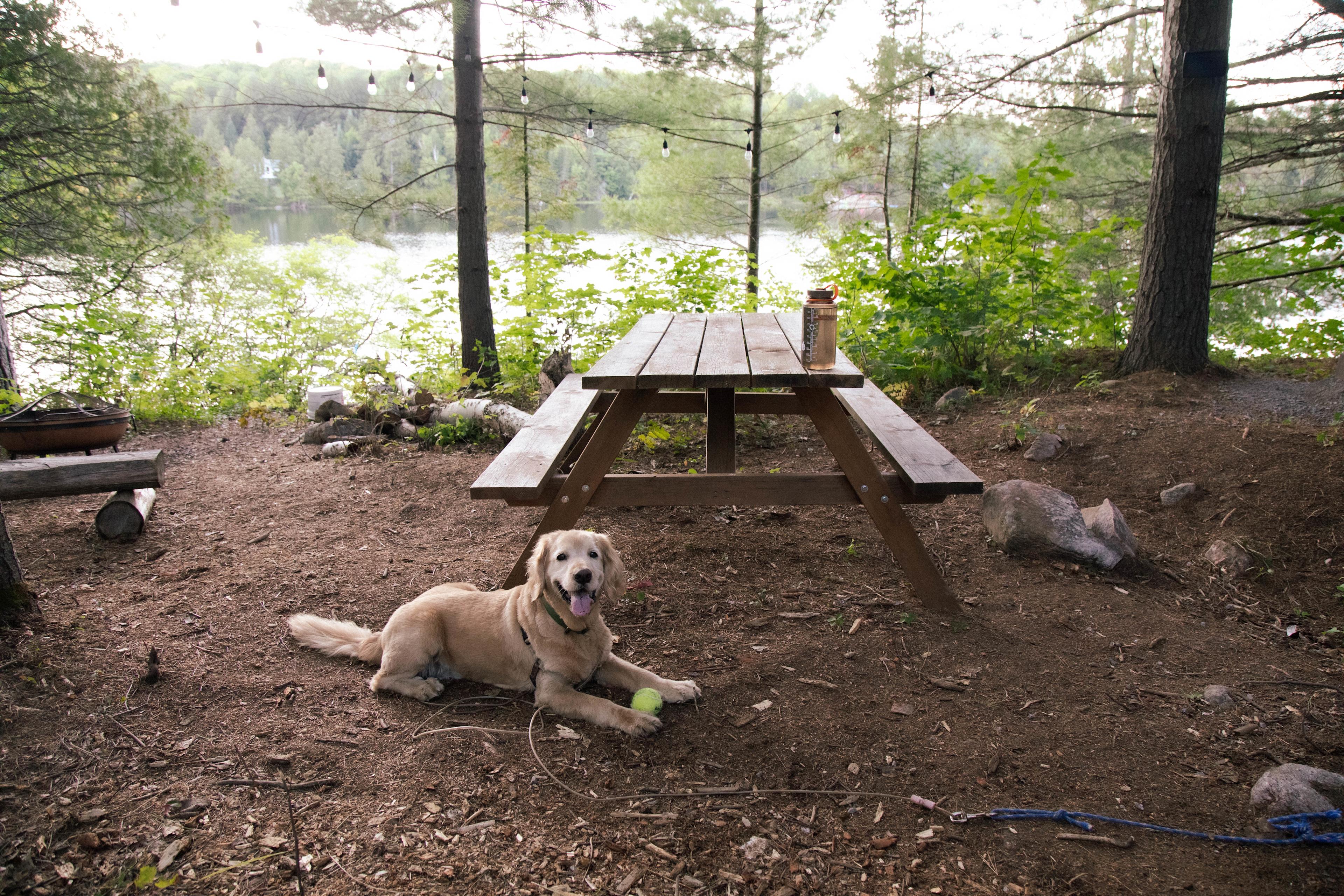 A good picnic table had us feeling spoiled on this trip, it's really great to feel like you have a kitchen area when camping.
