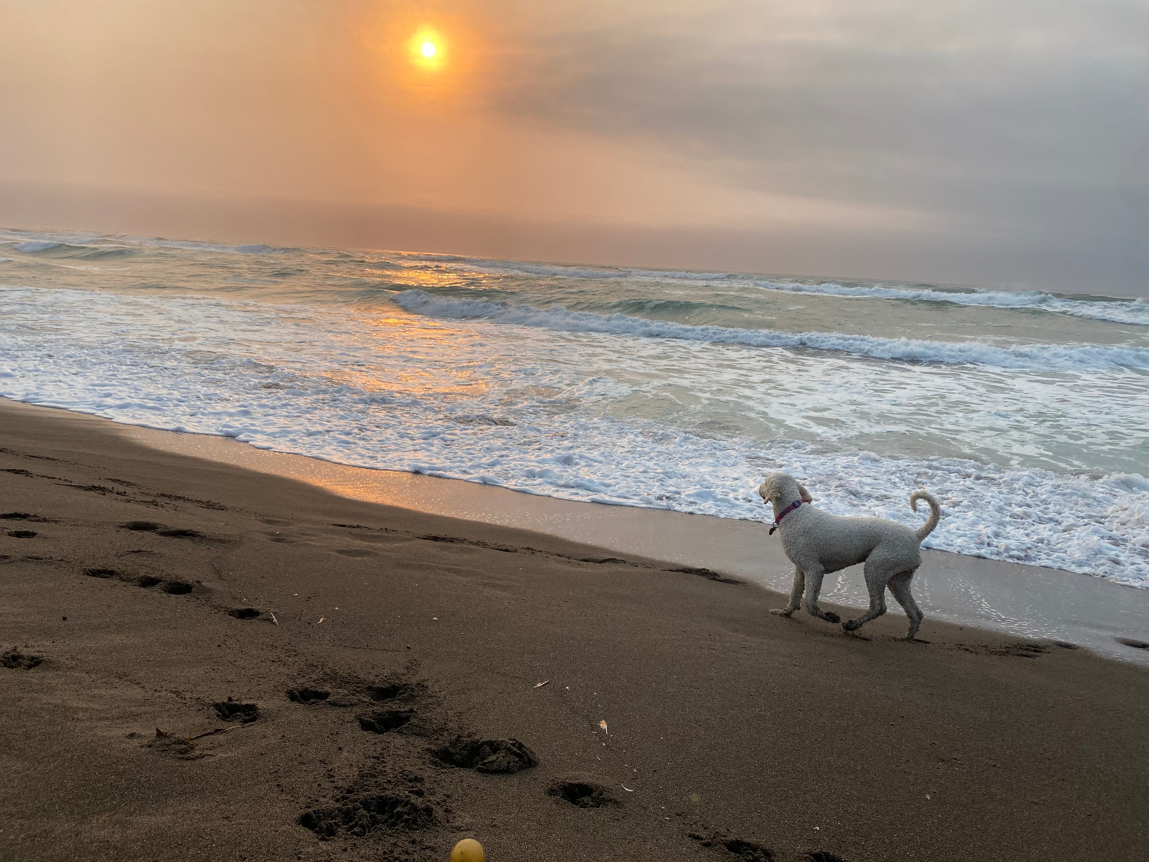 Spectacular beaches and scenery with in a 5 minute drive or bike ride