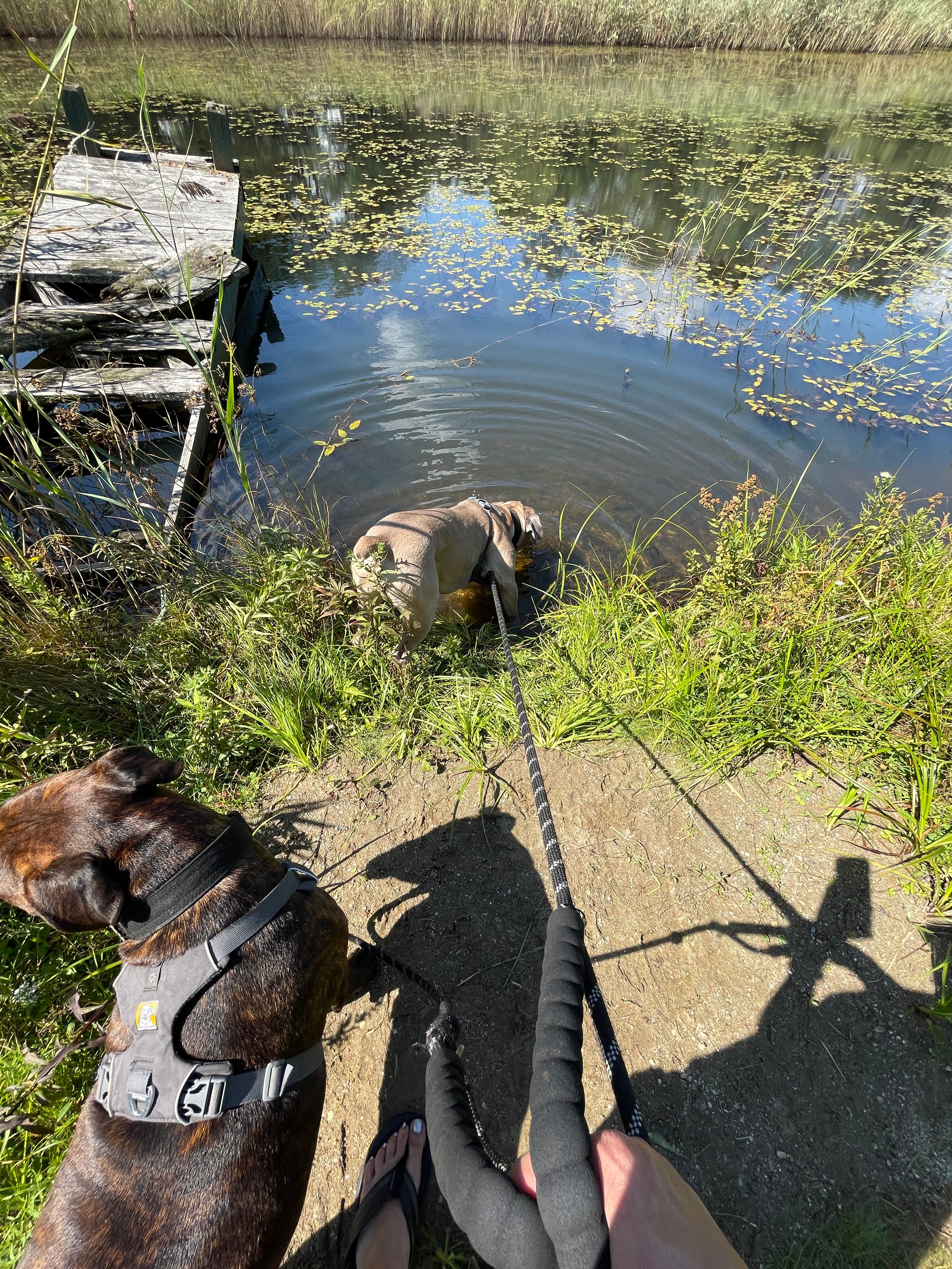 One last drink from the pond before we head out