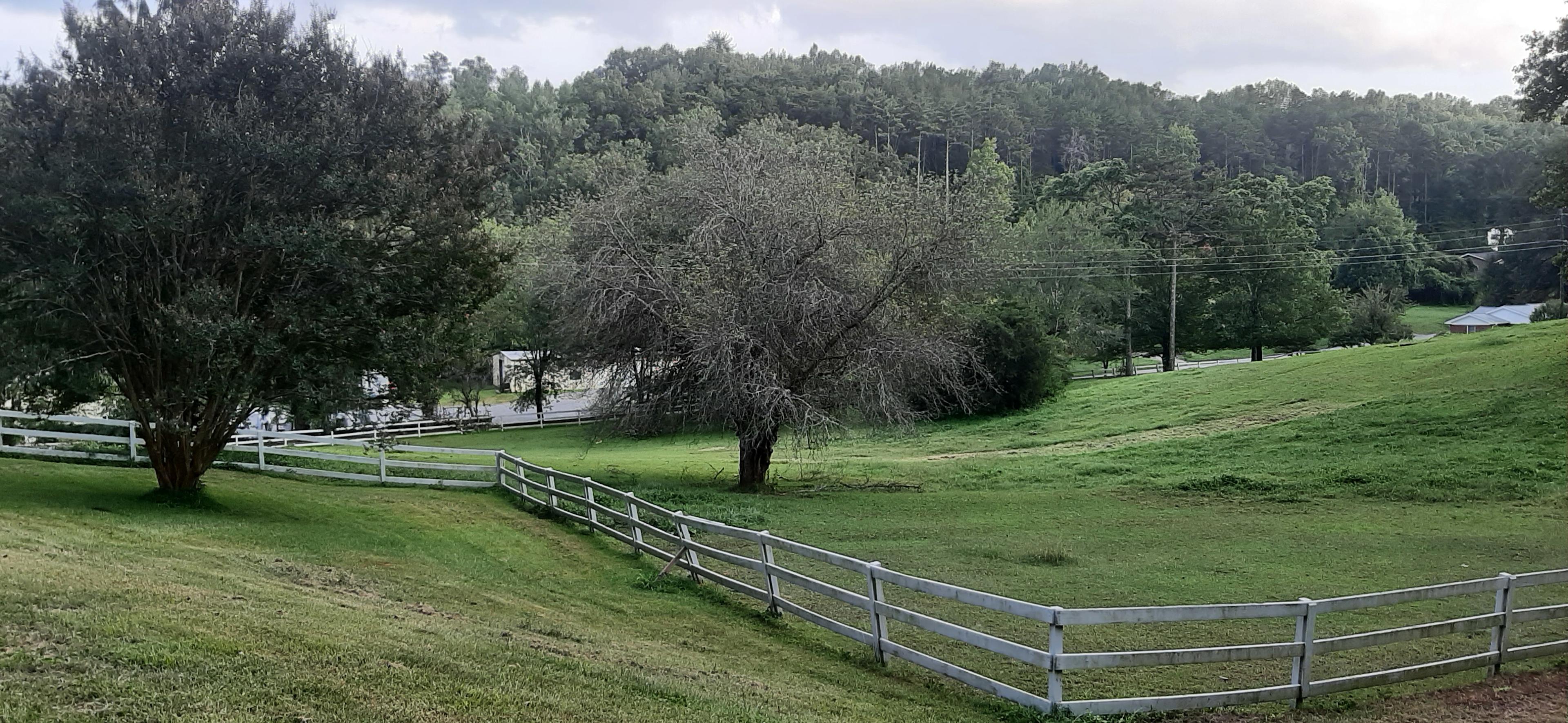 Paradise Pastures