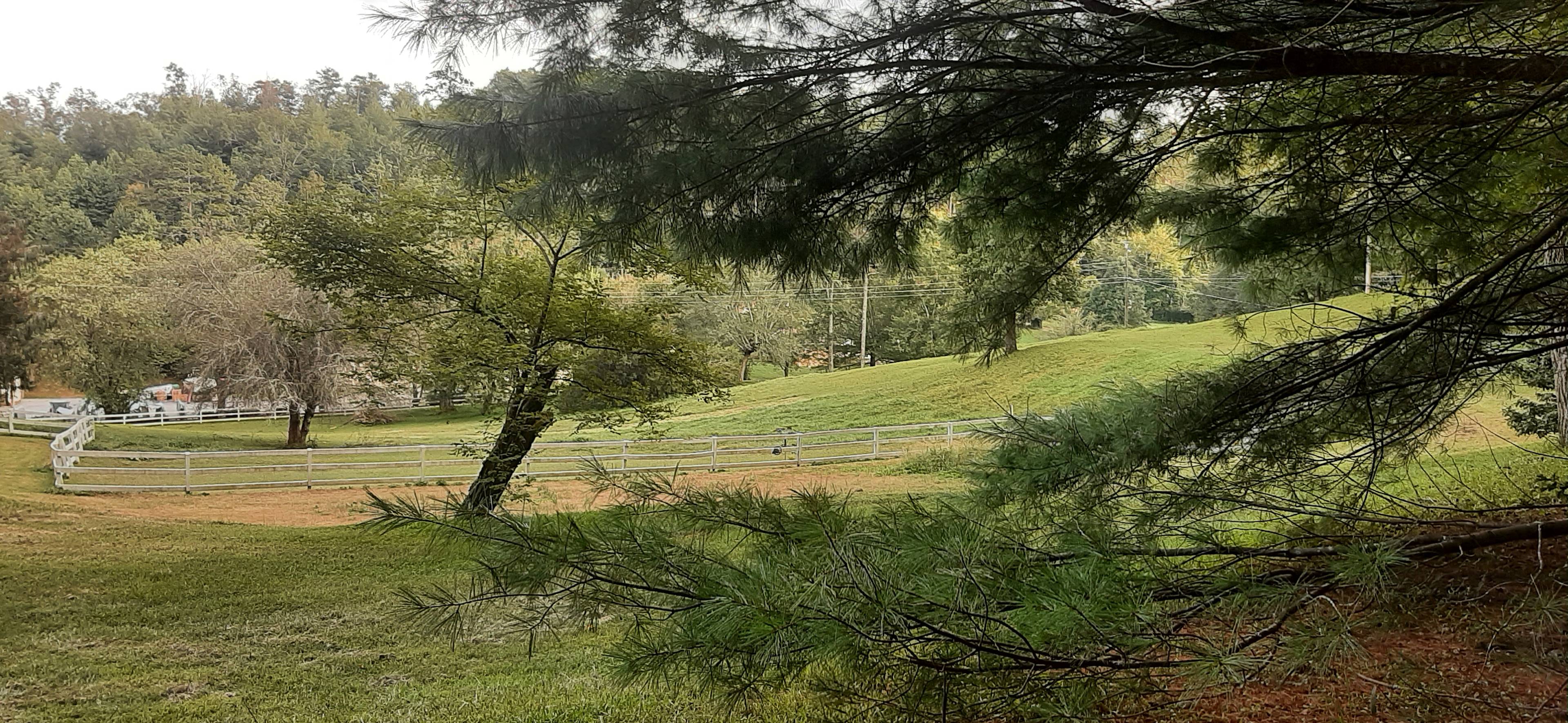 Paradise Pastures