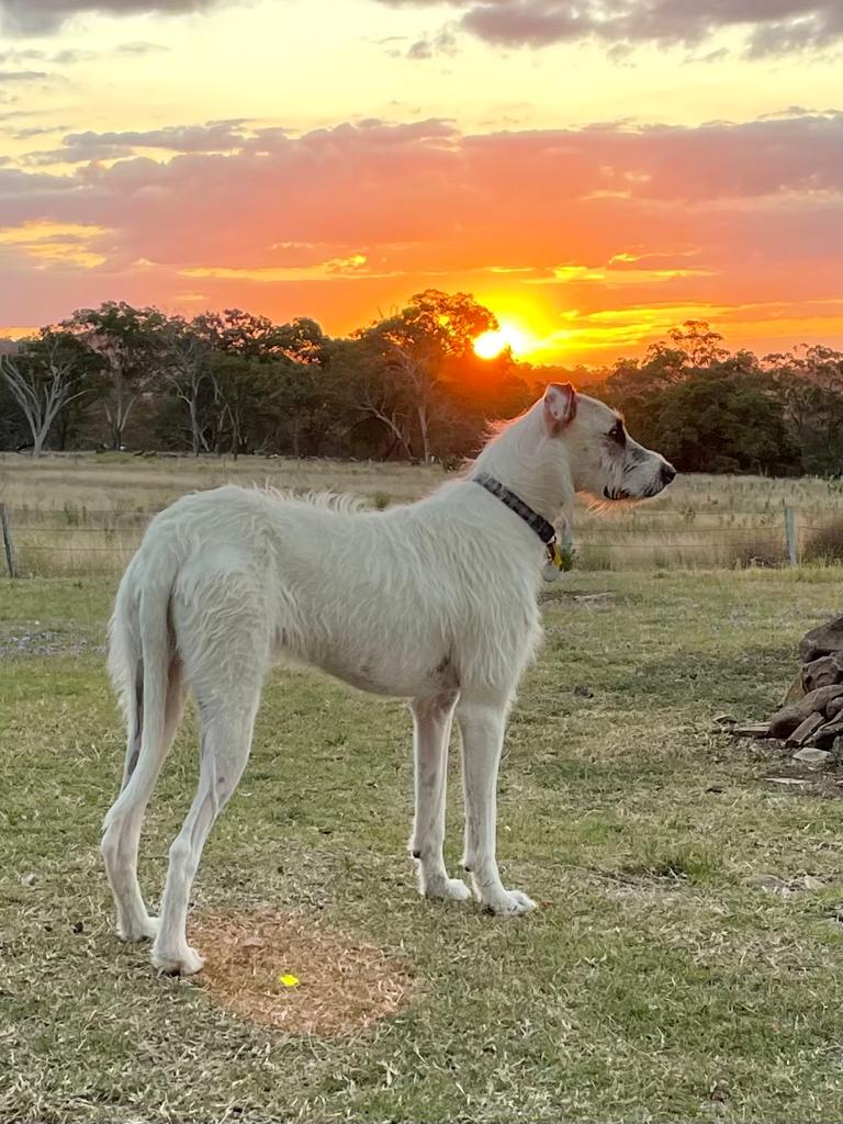 Coobindah Country Escape