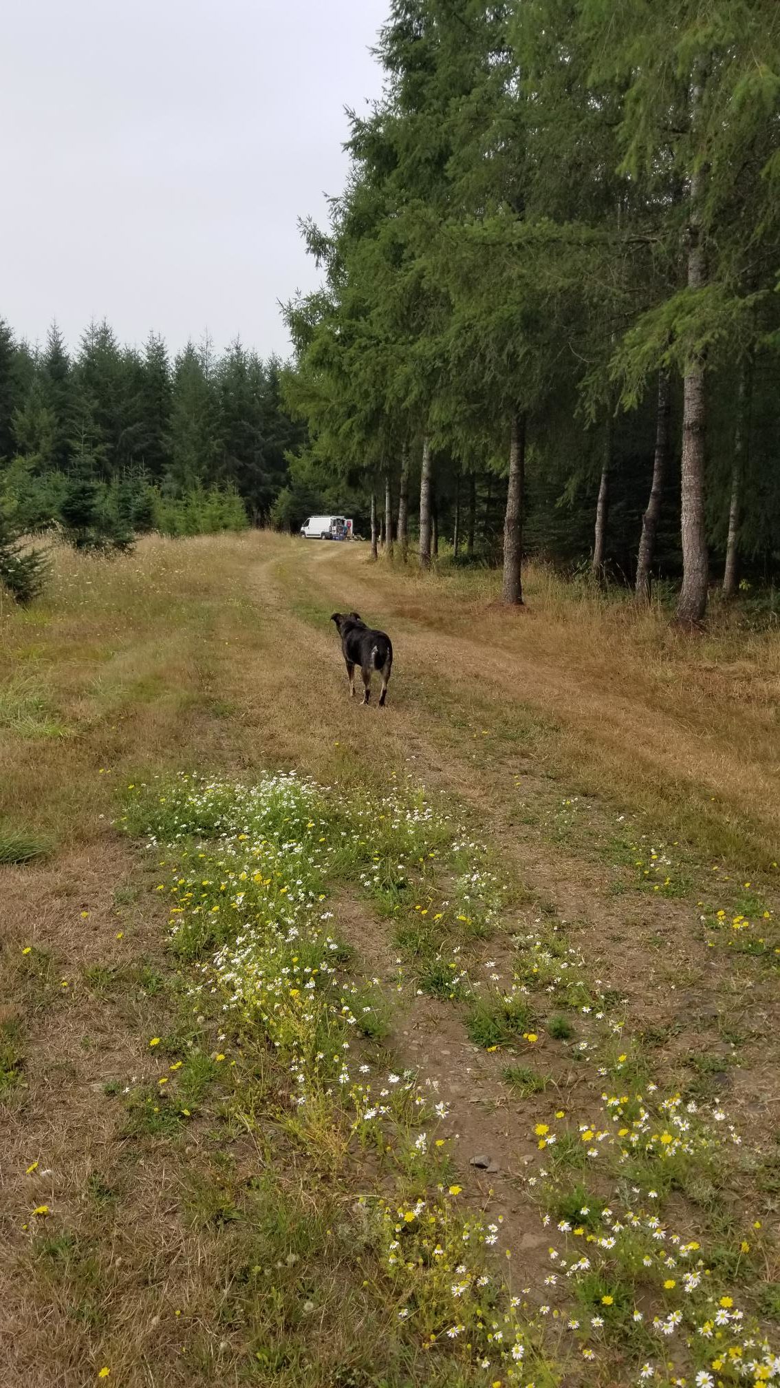 This is roughly how close you are to the next camper - peaceful and private