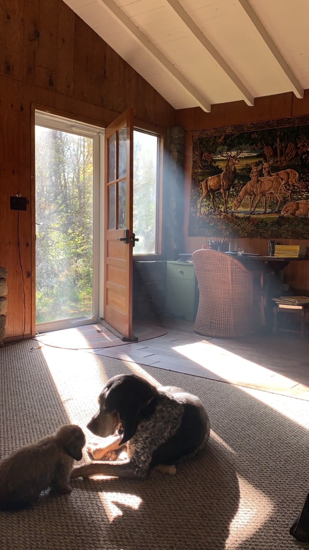 Pocono Cabin With No Name