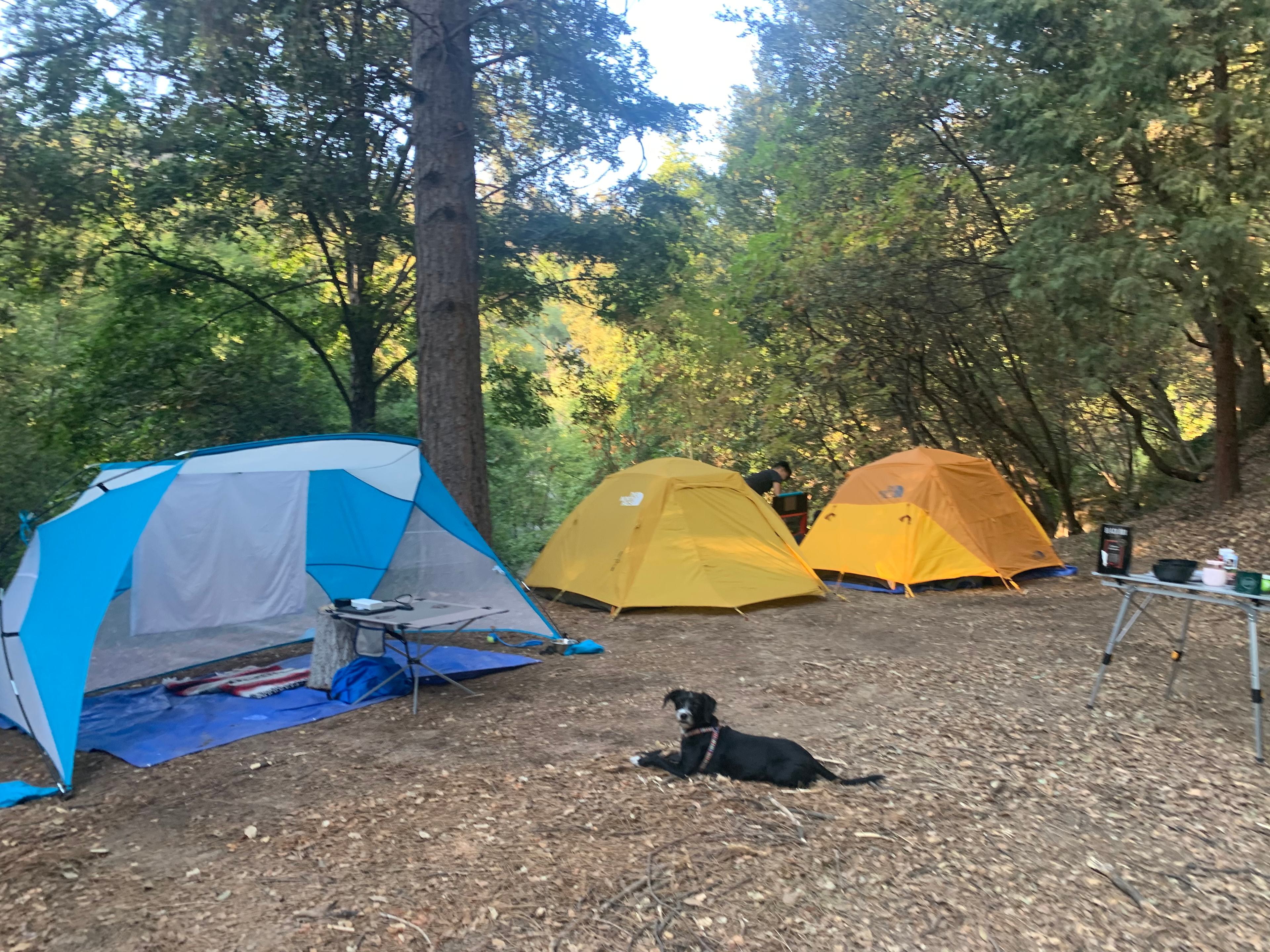 Hidden Falls Yosemite Camp